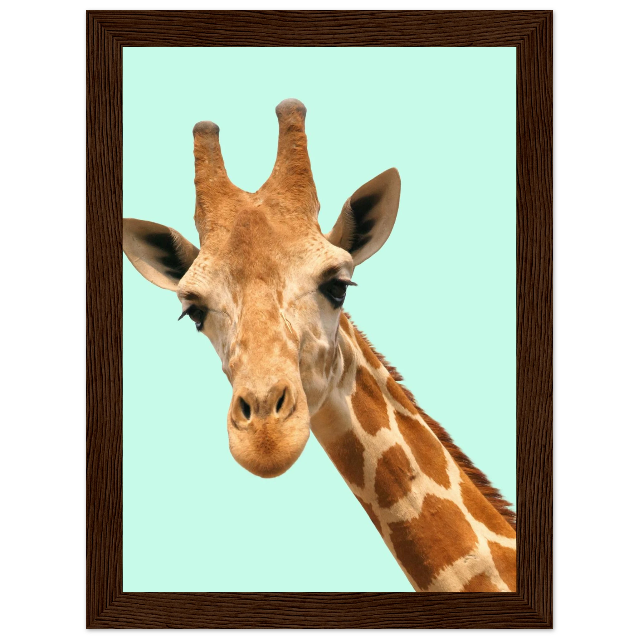 eb150edd-1579-4386-87ec-337e6ad62825