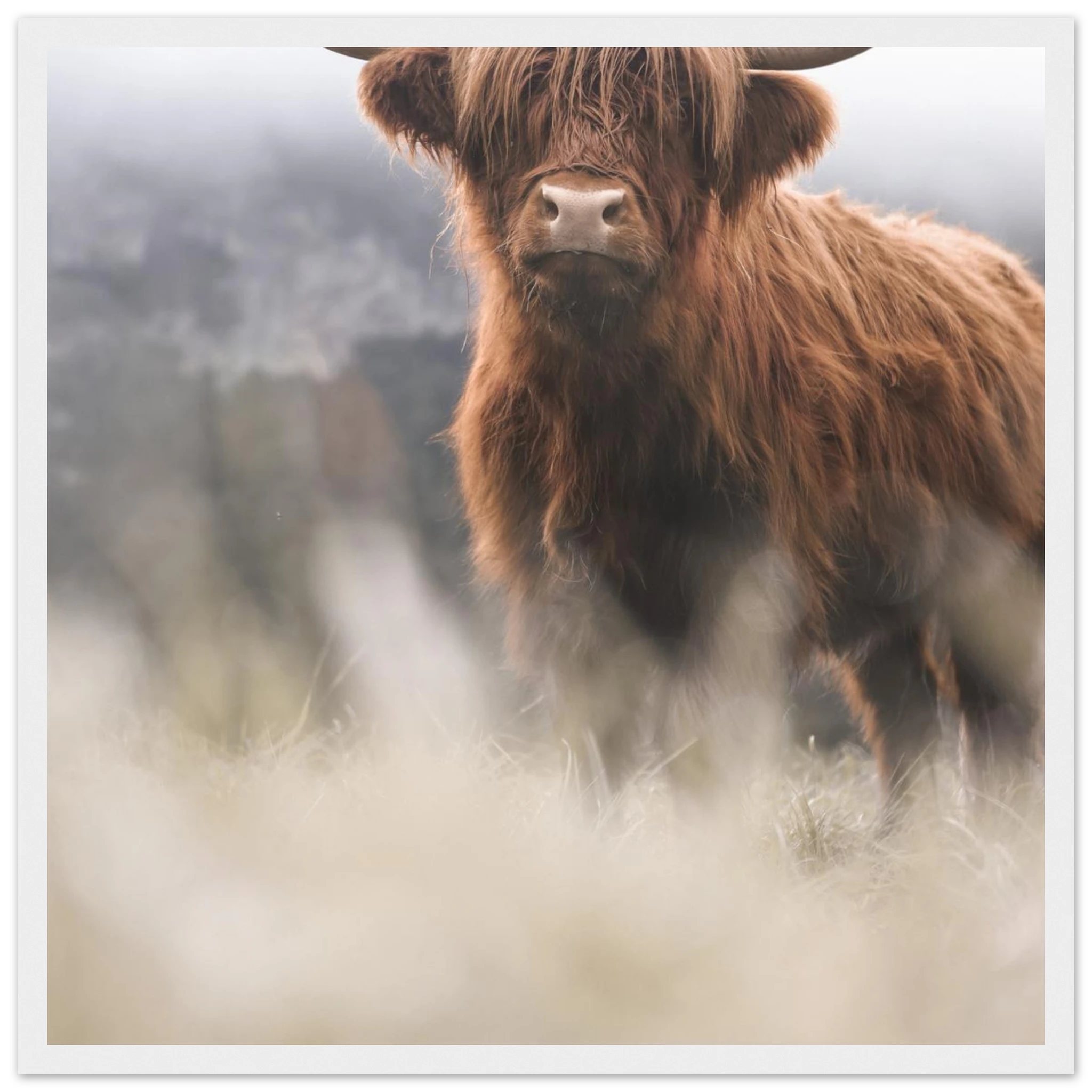 eb4426e3-547e-404b-b594-53c4b5de9df2