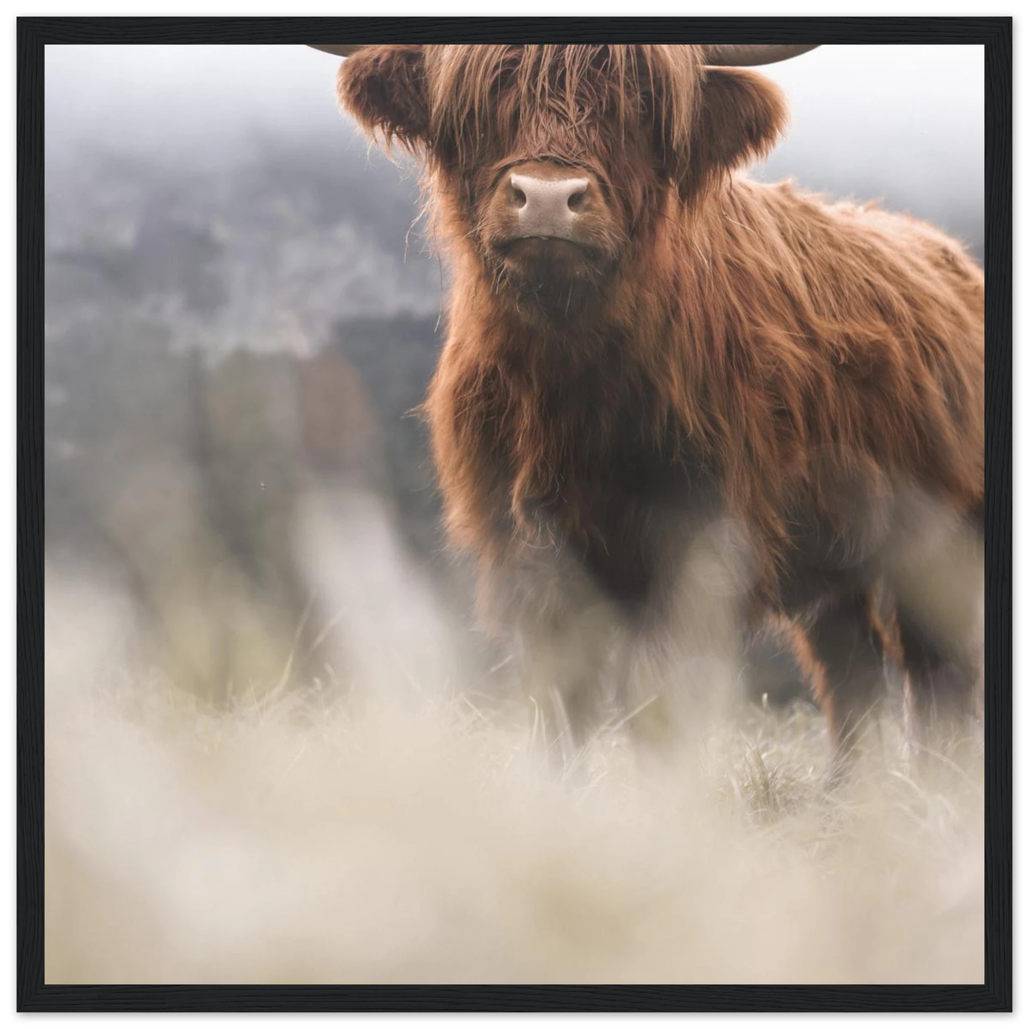 eb443bc1-4786-40ce-ac2f-b3b4651a04fd