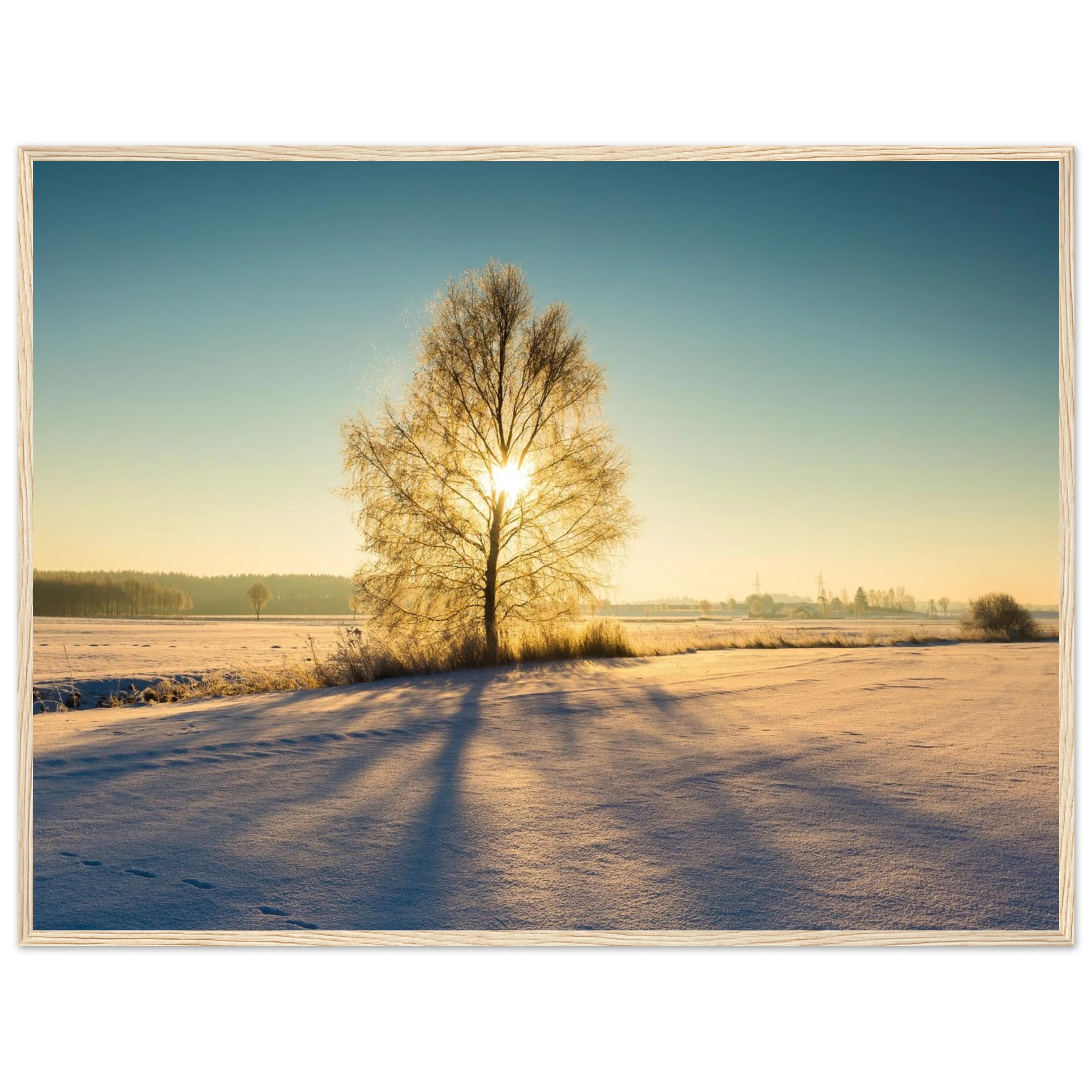 eb5627cd-987e-4bcf-9e77-13bd27fff897