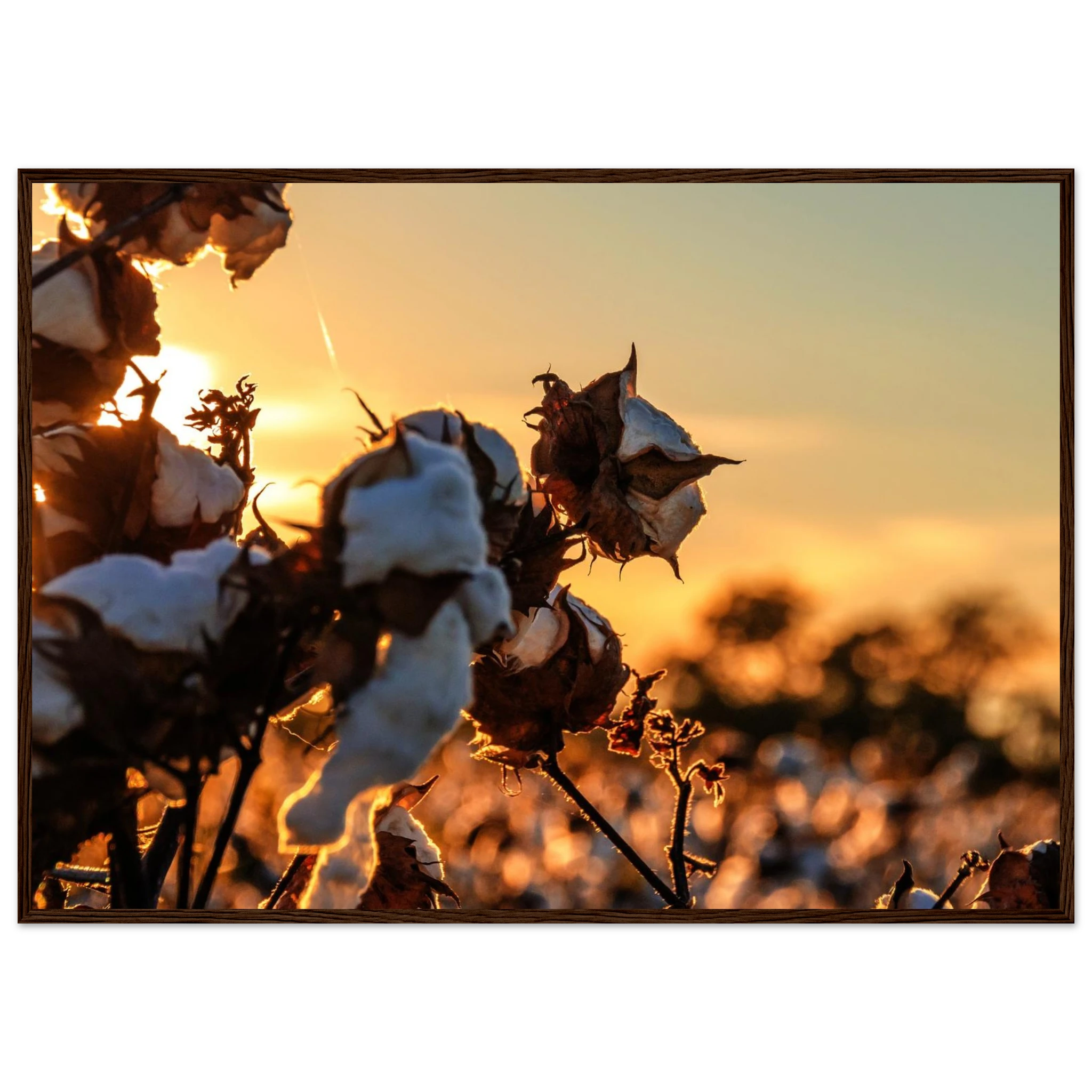 eb5640a7-ea7f-440c-b326-05d00ab62fa1