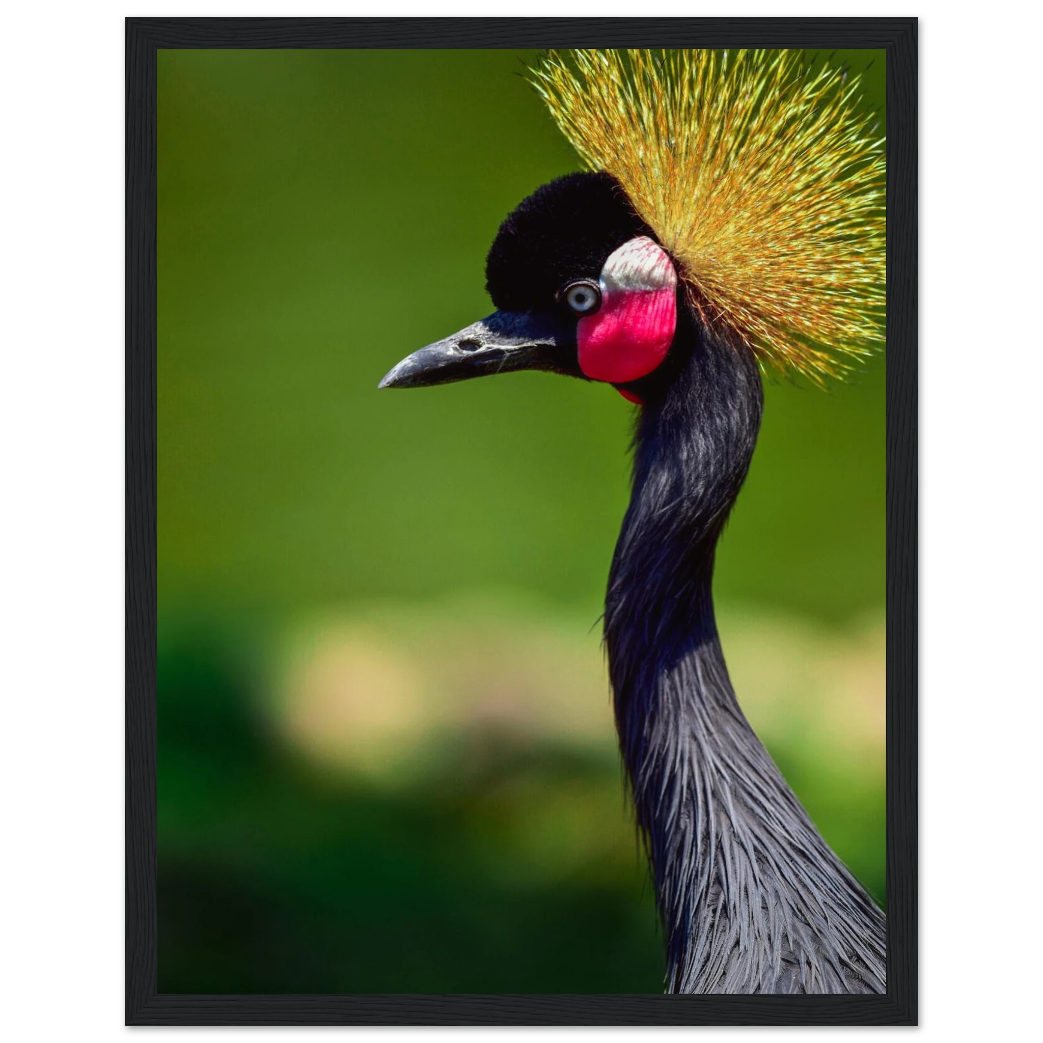 eb5e1893-1dcc-48a5-a825-e01358208002