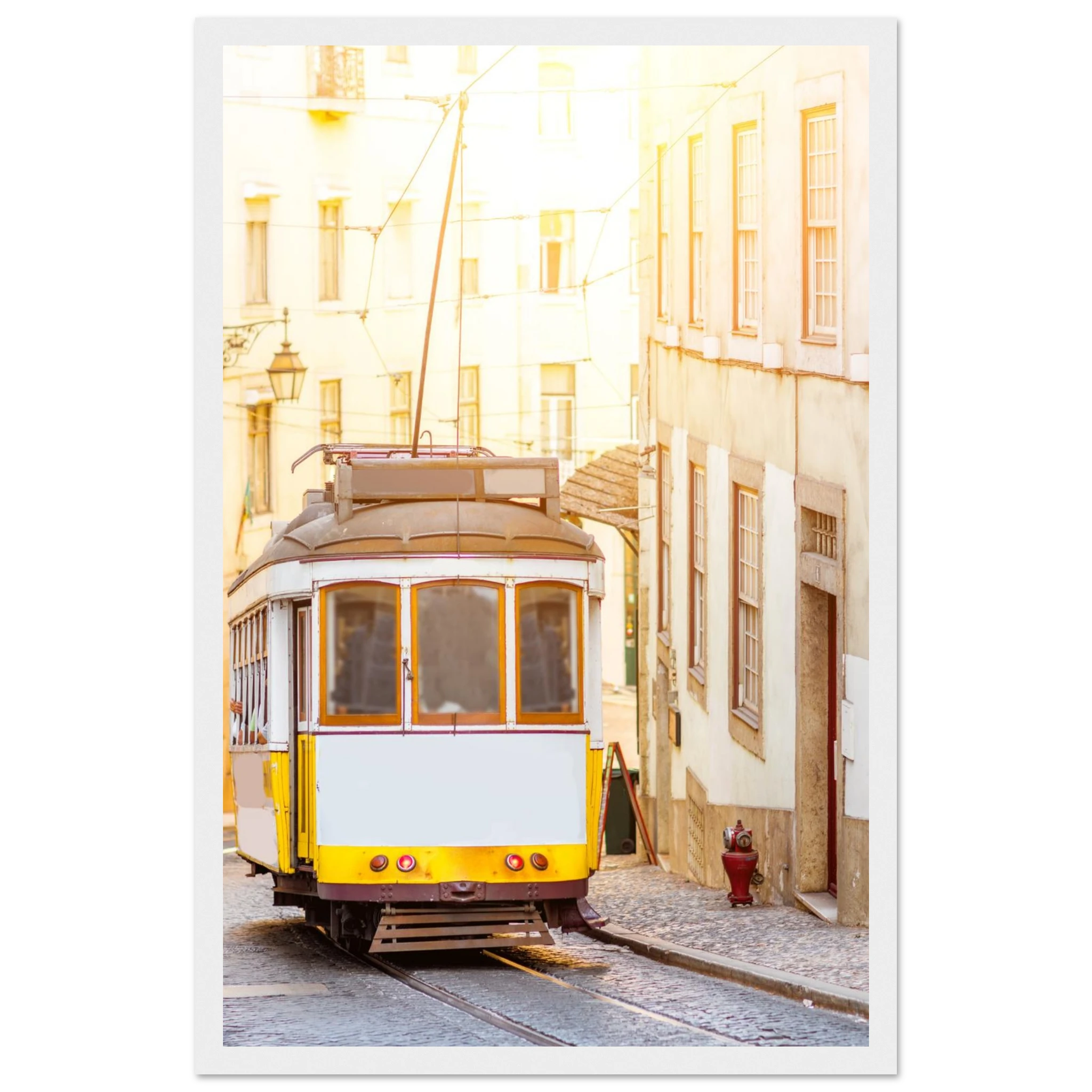 eb9cc6c3-af07-401d-b4f8-4caa6f931a43