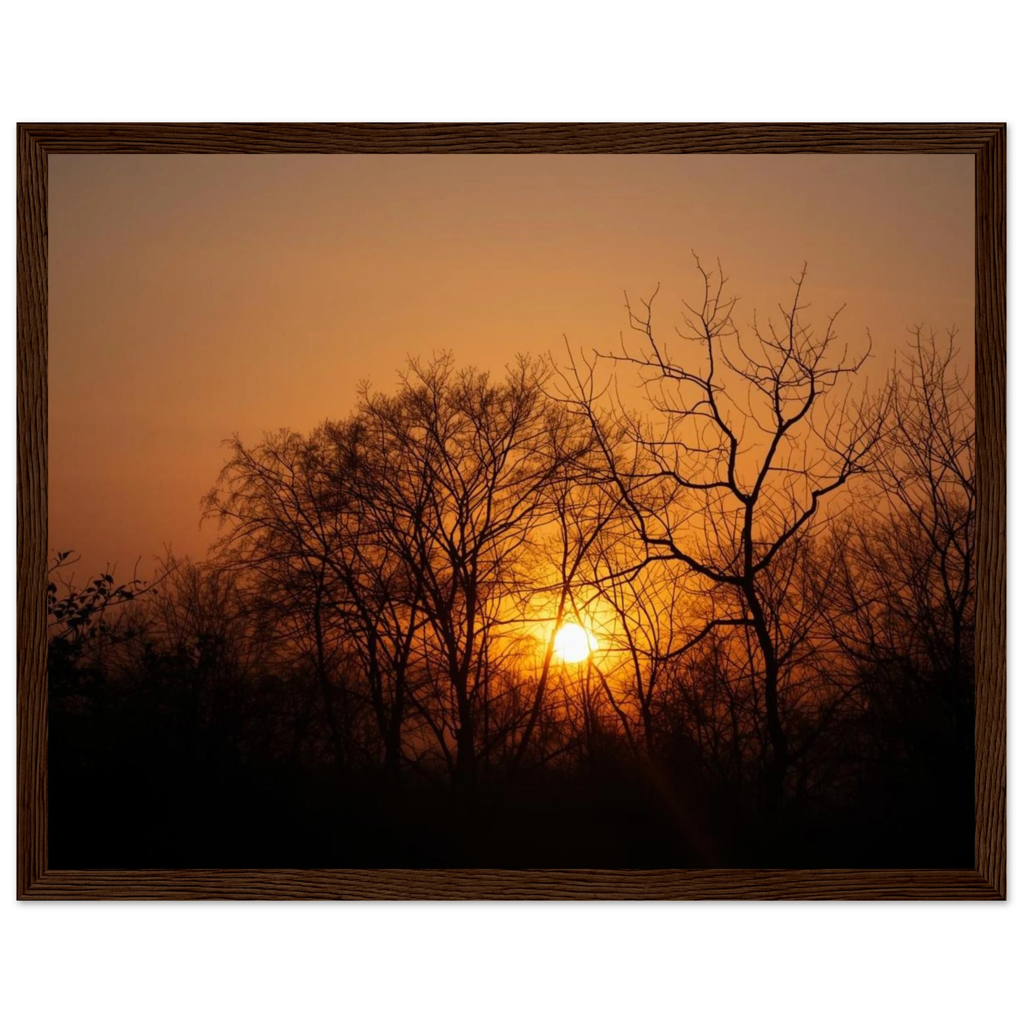 ebb4b958-2873-40cf-b797-15d8e0512416