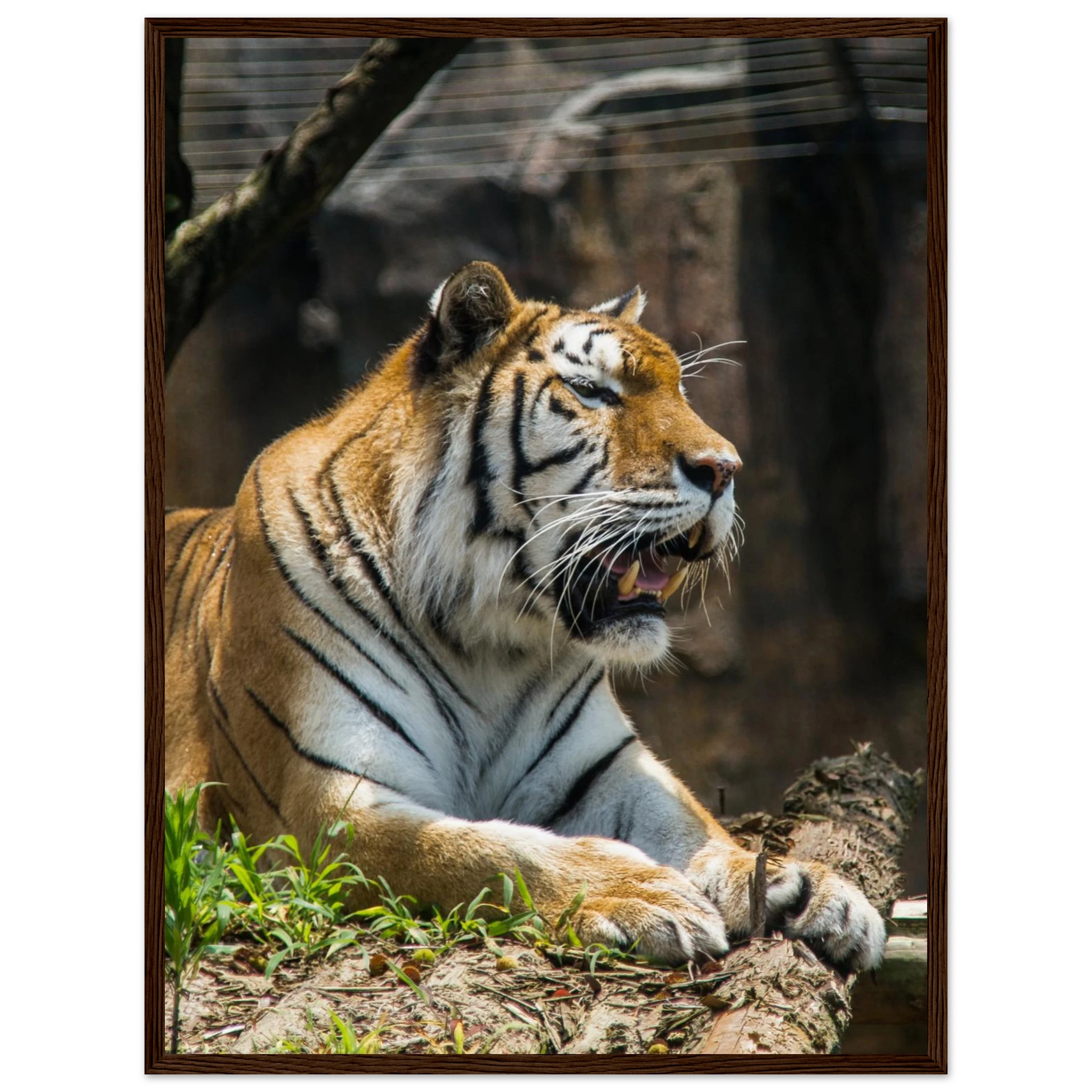 ebb6b57e-8d3b-437b-9465-93b02cf84bea