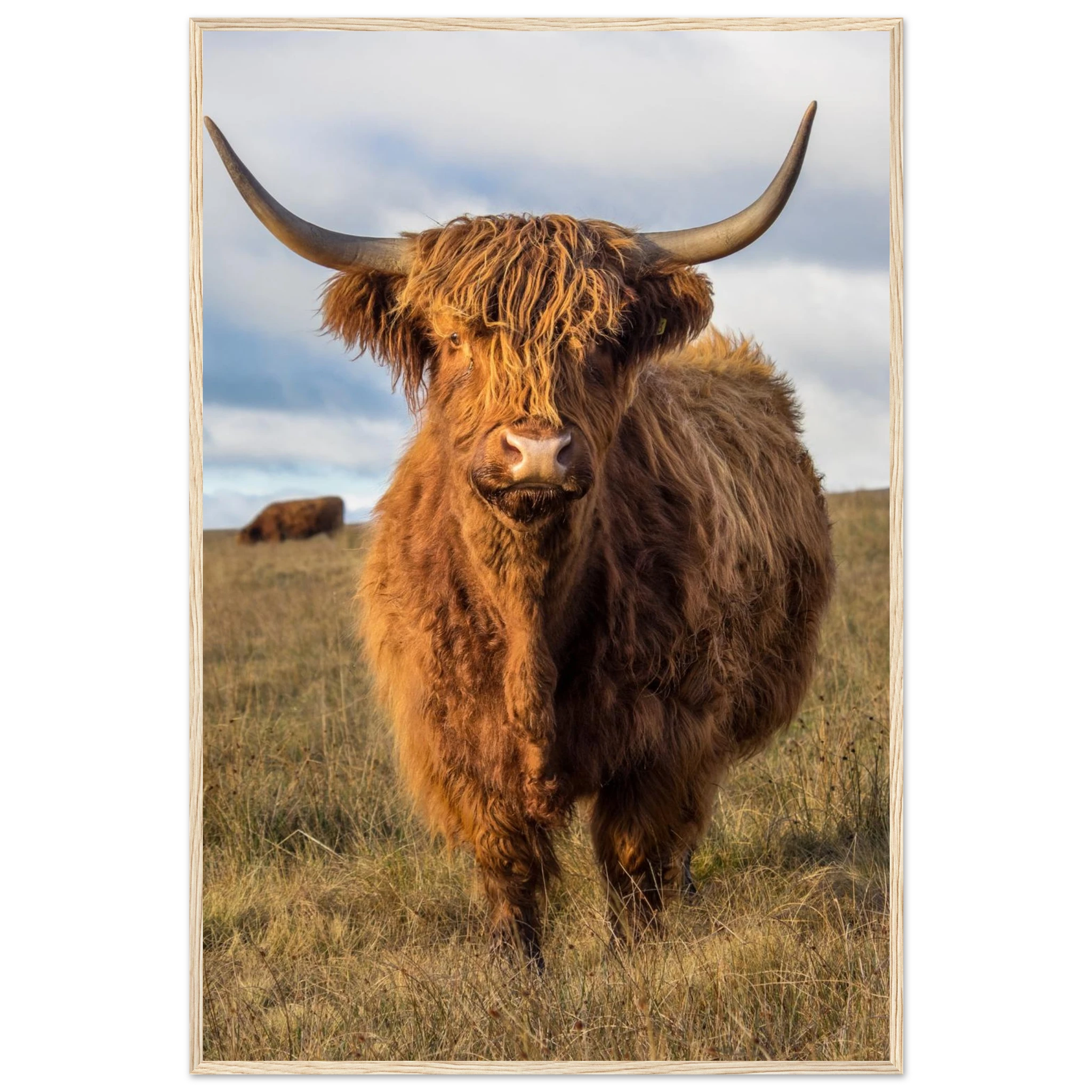 ebc81e44-f4ec-46eb-a368-56af70bc0aa8