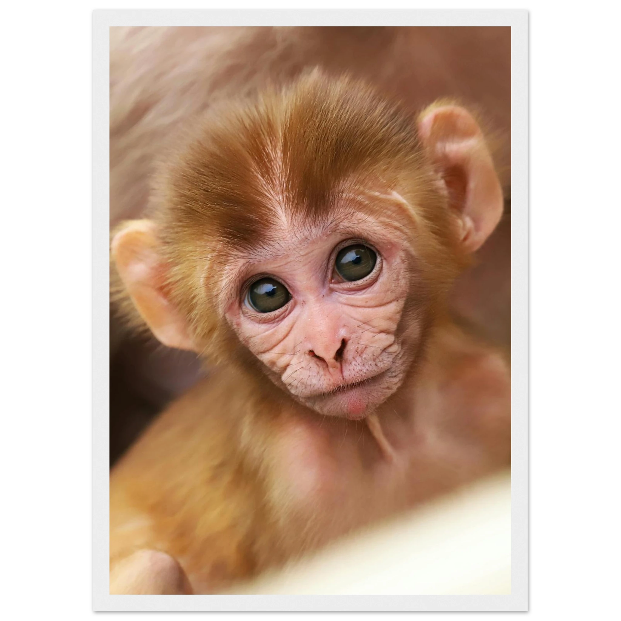 ebcc86f6-55fd-43e6-b6bb-b99a9dfe7647