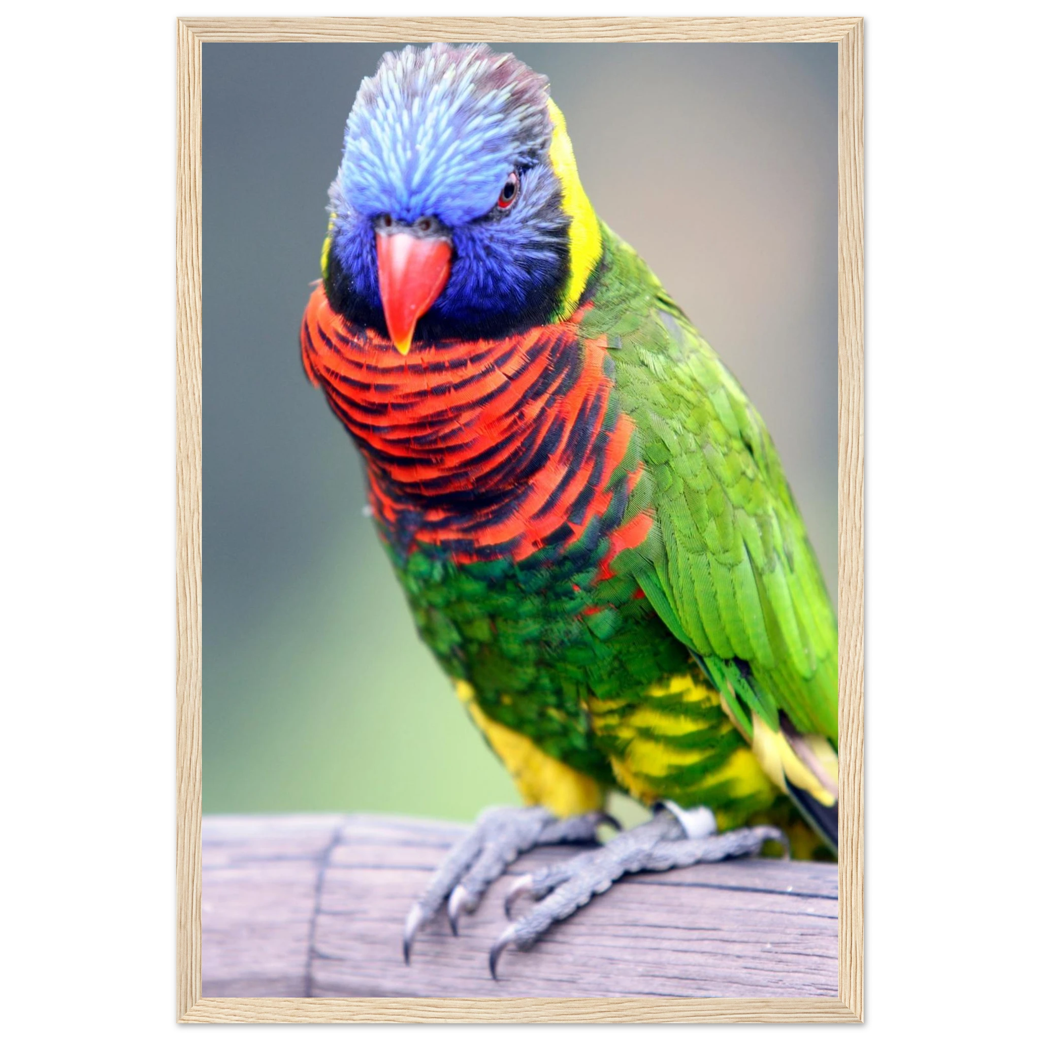 ebd386ca-047f-41f5-82d8-72bc6a928eca