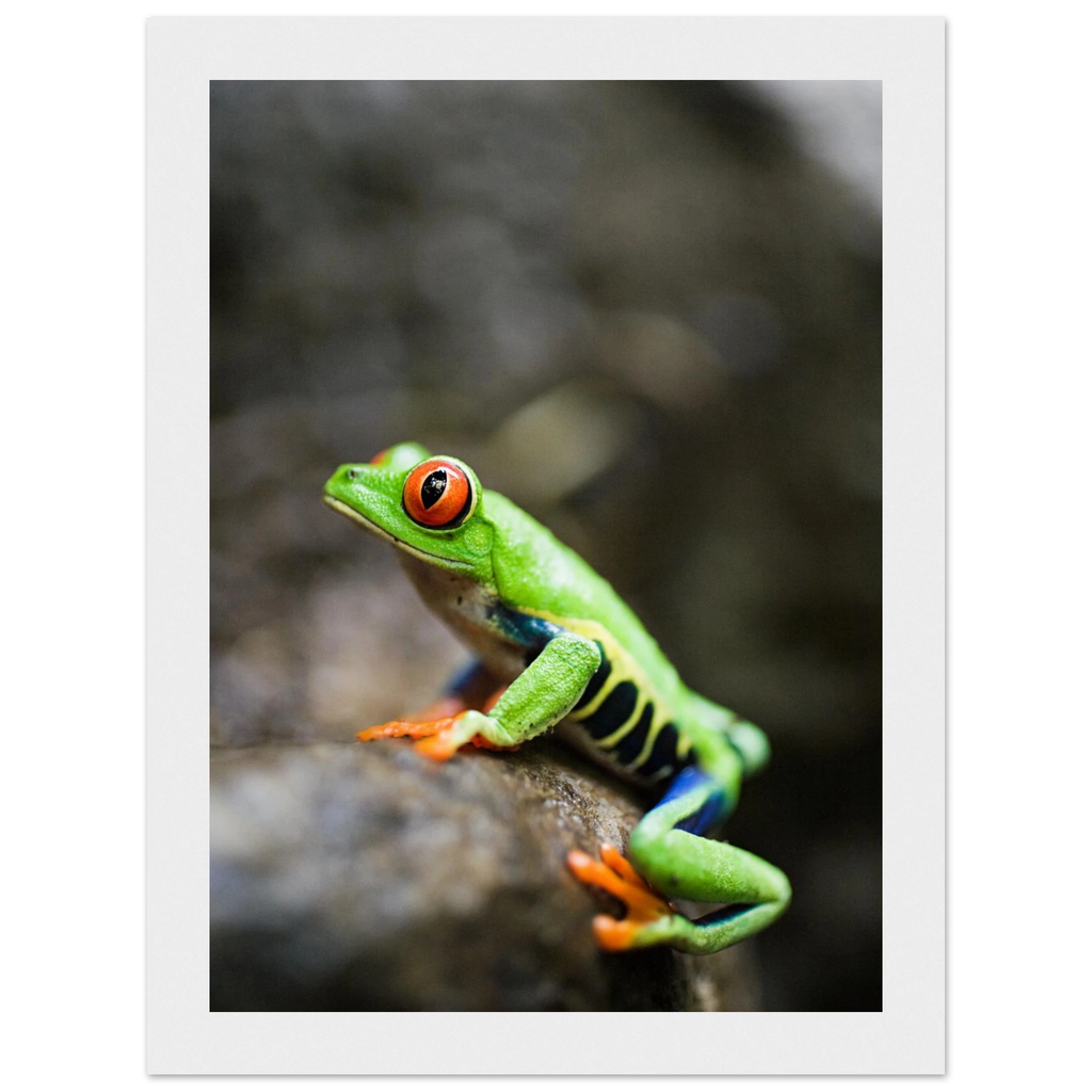 ebdd4186-eb16-4077-b919-b28bfd653376