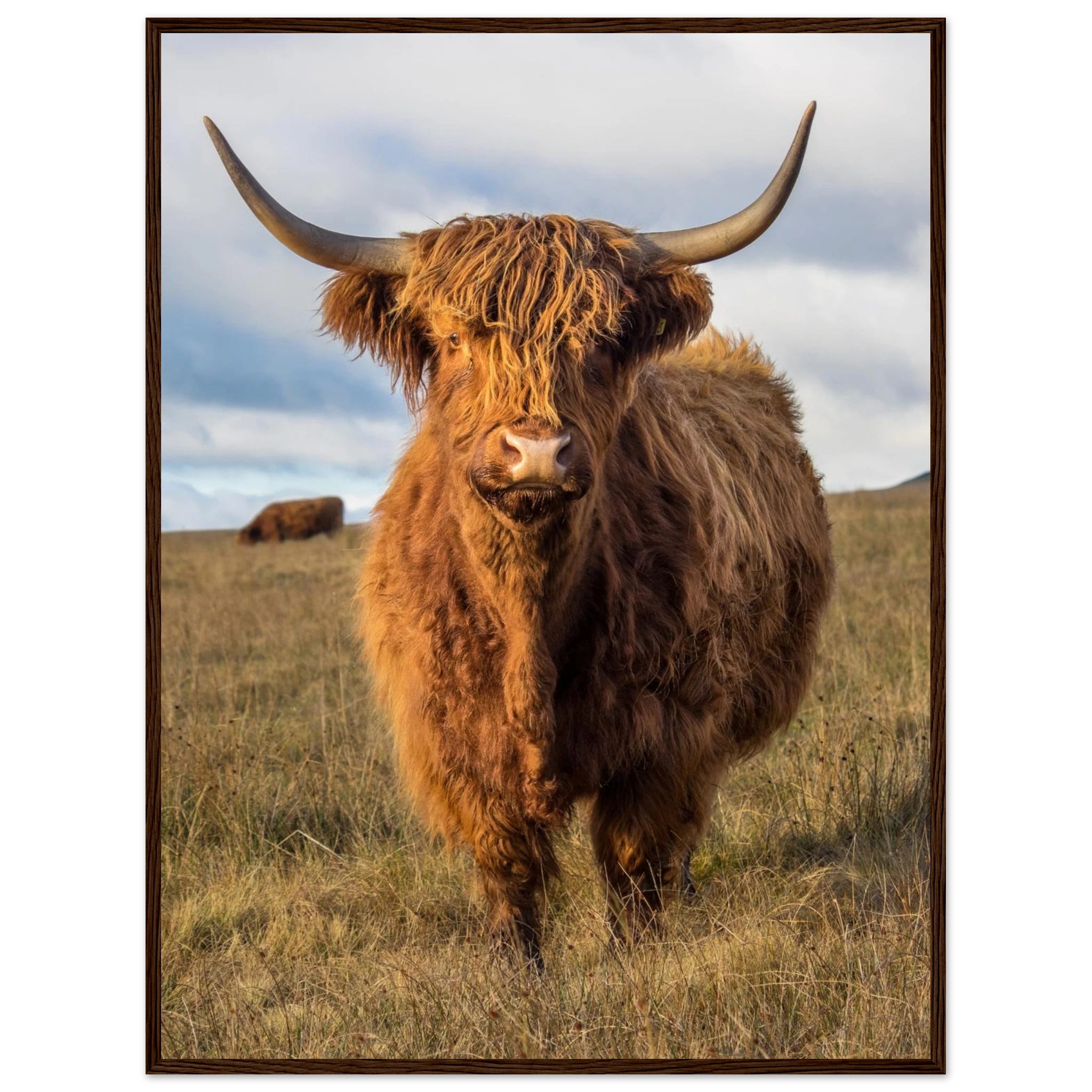 ebe343c3-8e6f-4bcb-bb48-a1a760c17421