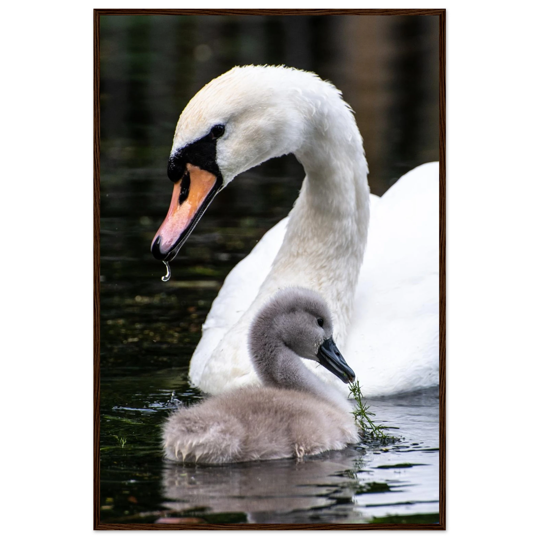 ebf213fe-c9ce-4714-a2c1-808d3e10fde5