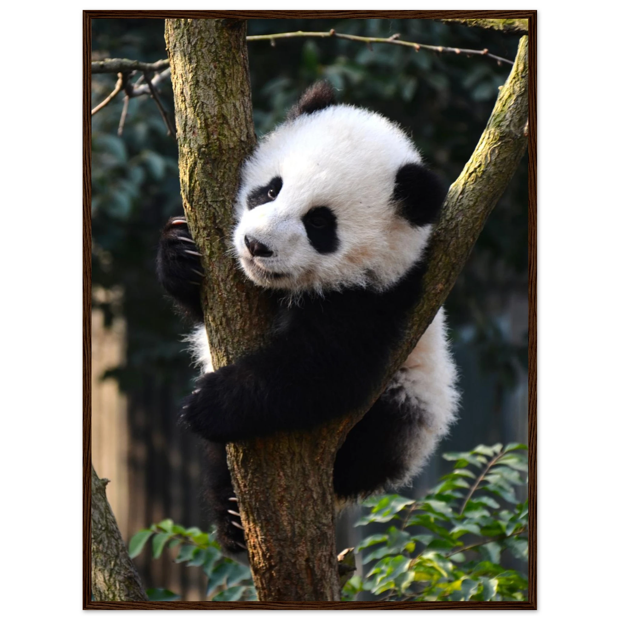 ebf47cb8-0317-4988-b26d-c9f8a076ad51