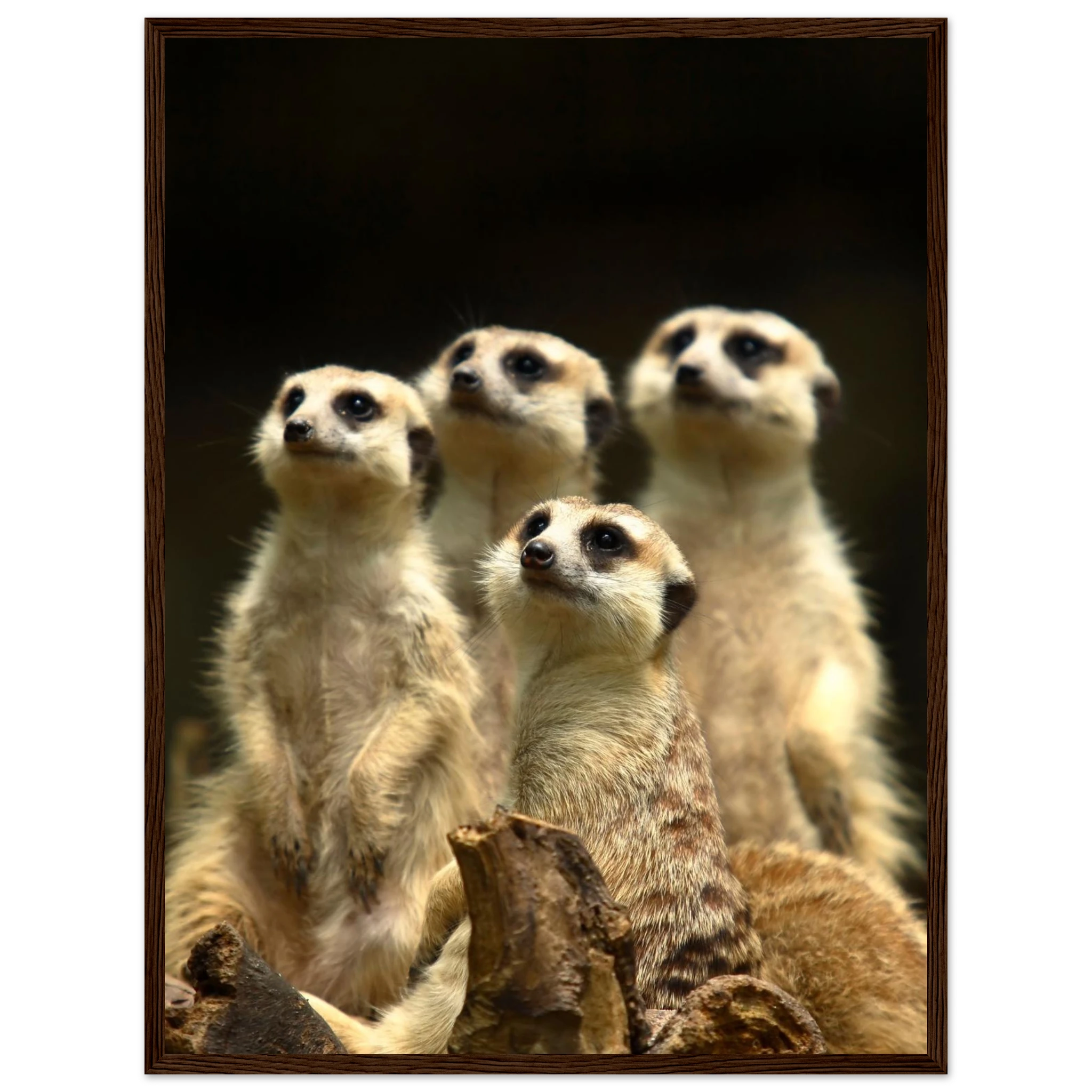 ebfba5f1-2ae6-48b0-90a2-be9c621ed8ec