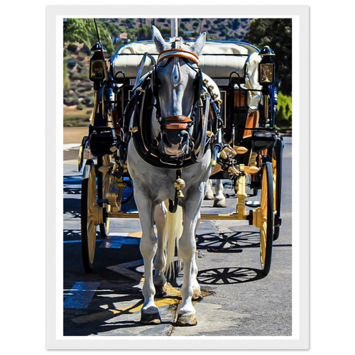 ec095afb-3b98-4b30-b12c-2dfcfdd9a8fe