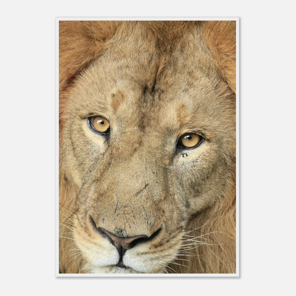 ec11e410-73d2-4451-9461-b13ec30176bb