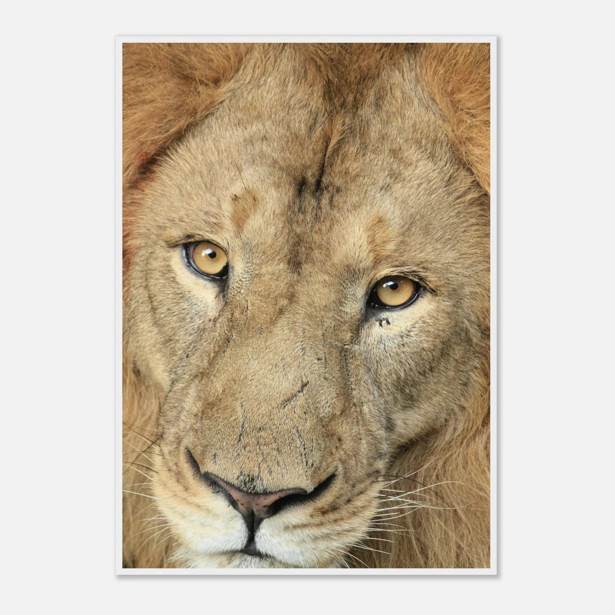 ec11e410-73d2-4451-9461-b13ec30176bb