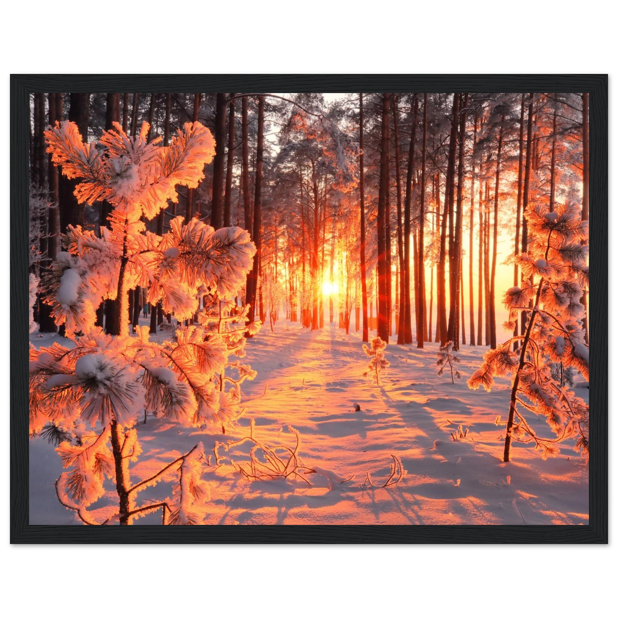 ec17a540-9c20-4619-804b-0bc81565341f