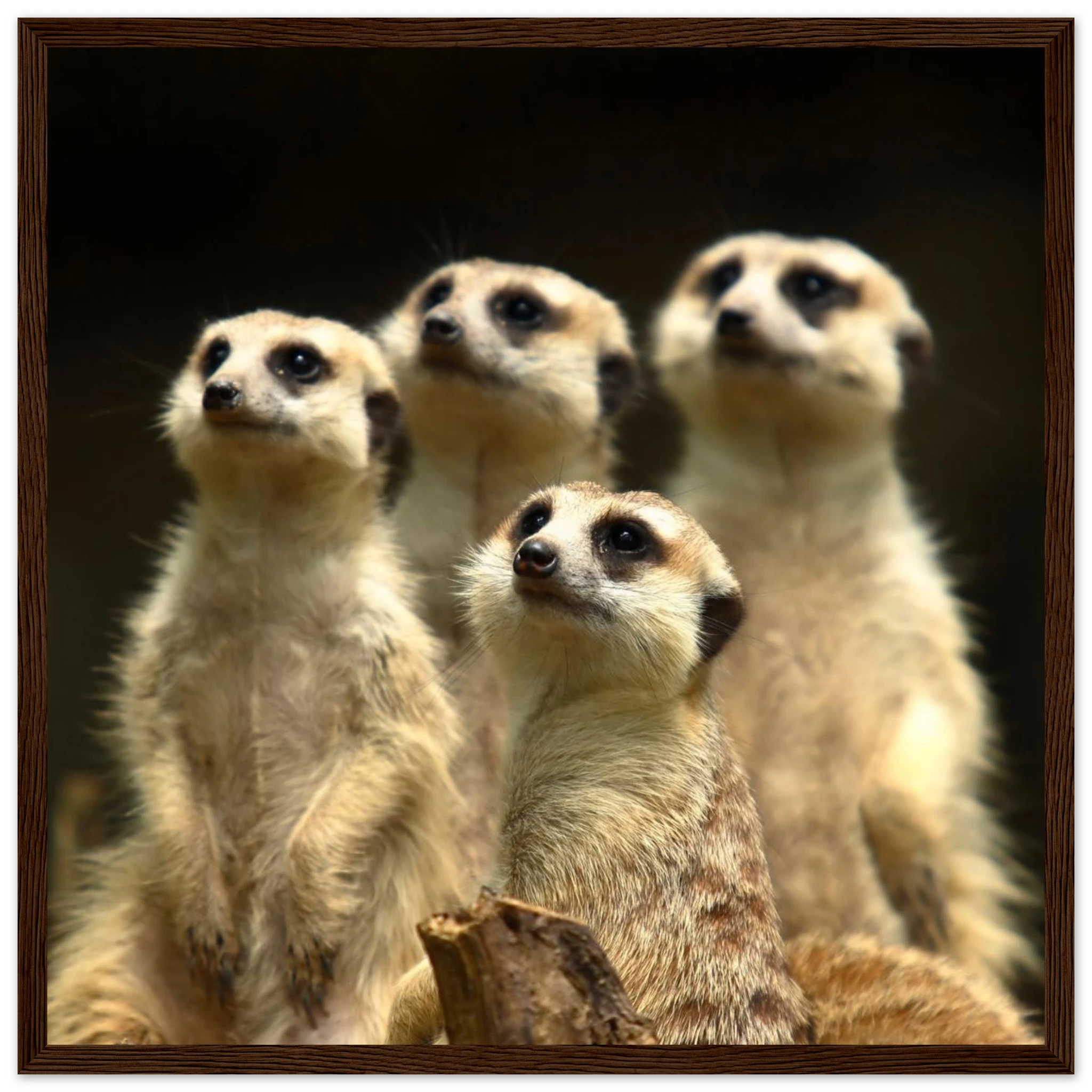 ec232db4-437f-4a5d-9bd6-1a5a93f0ed4c