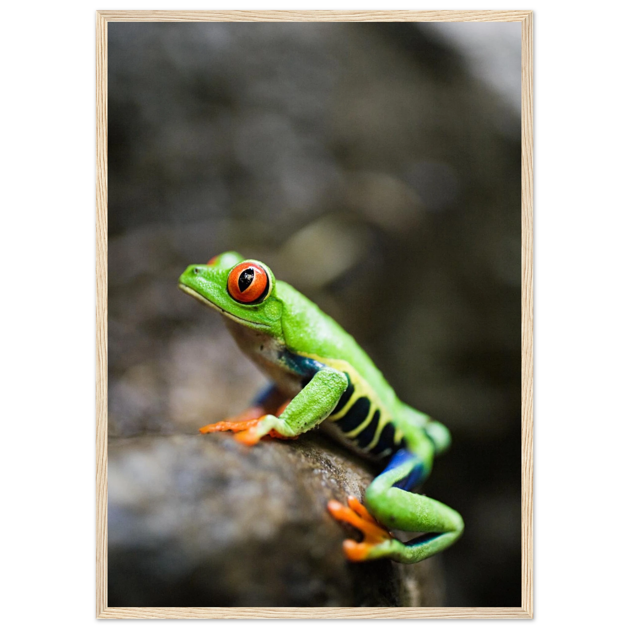 ec2a6ab4-3eba-4171-adf8-30a2746f6161