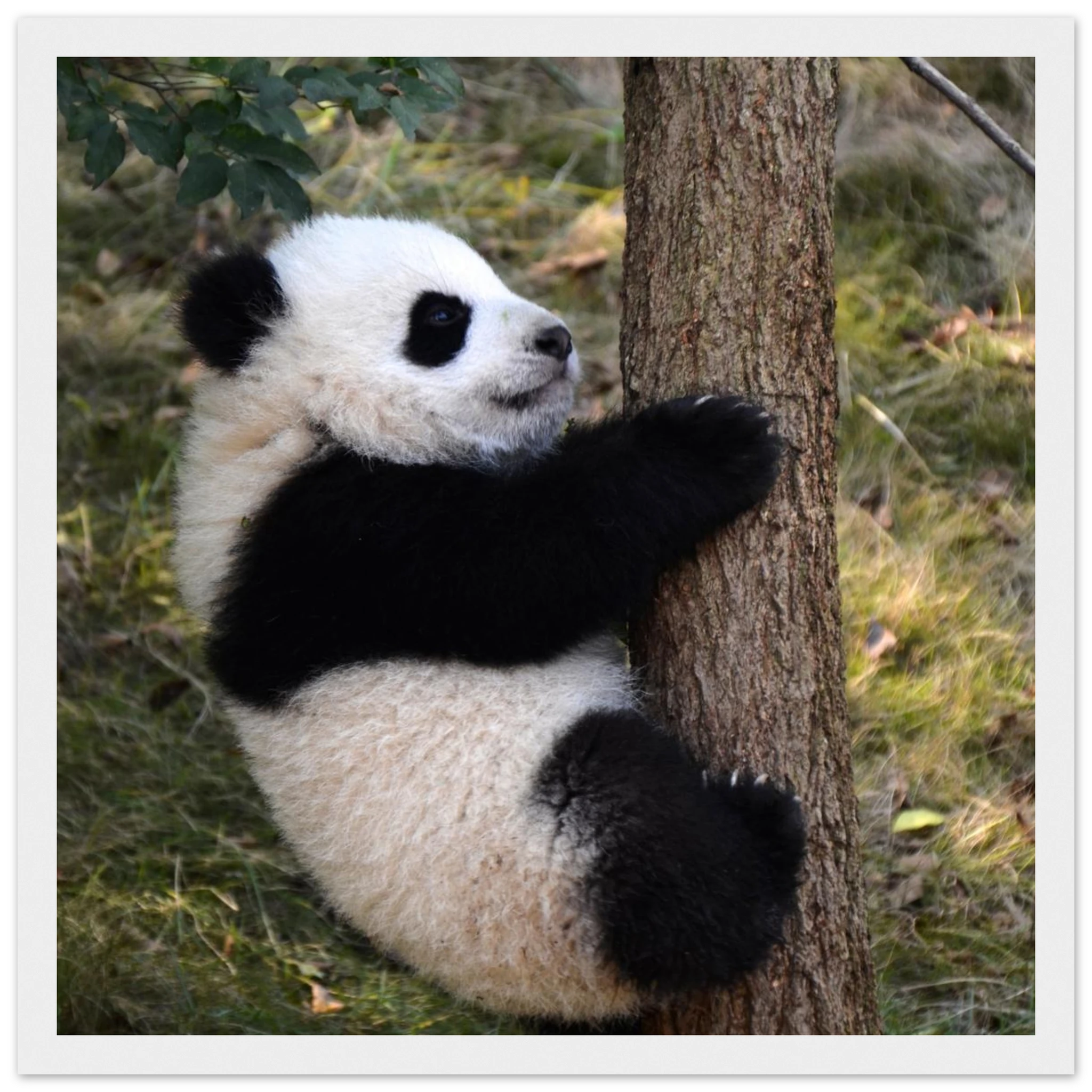 ec306187-7755-41fd-a679-496fc9f0d6fa