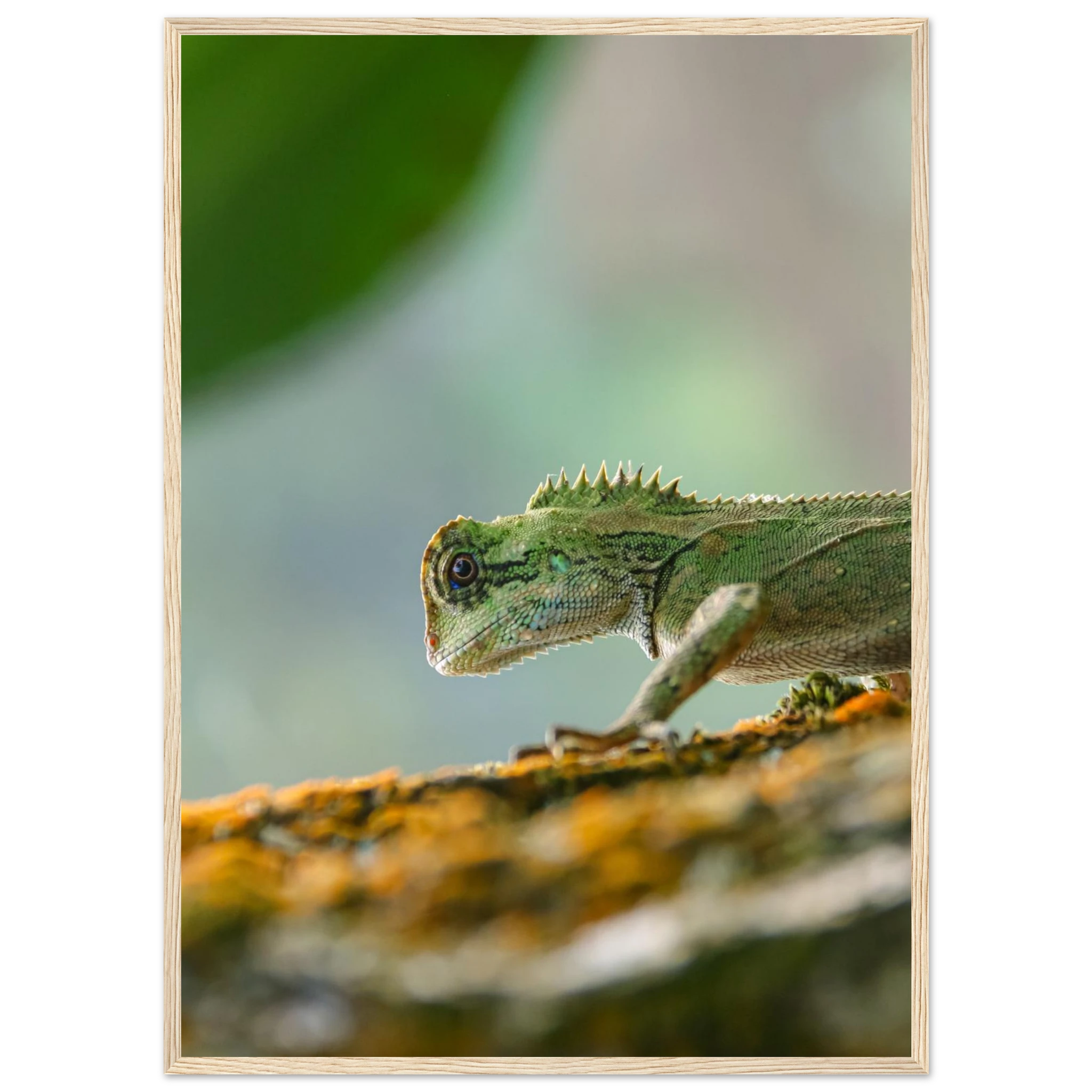 ec323bb8-2e5b-429b-b4ef-4314825e776b