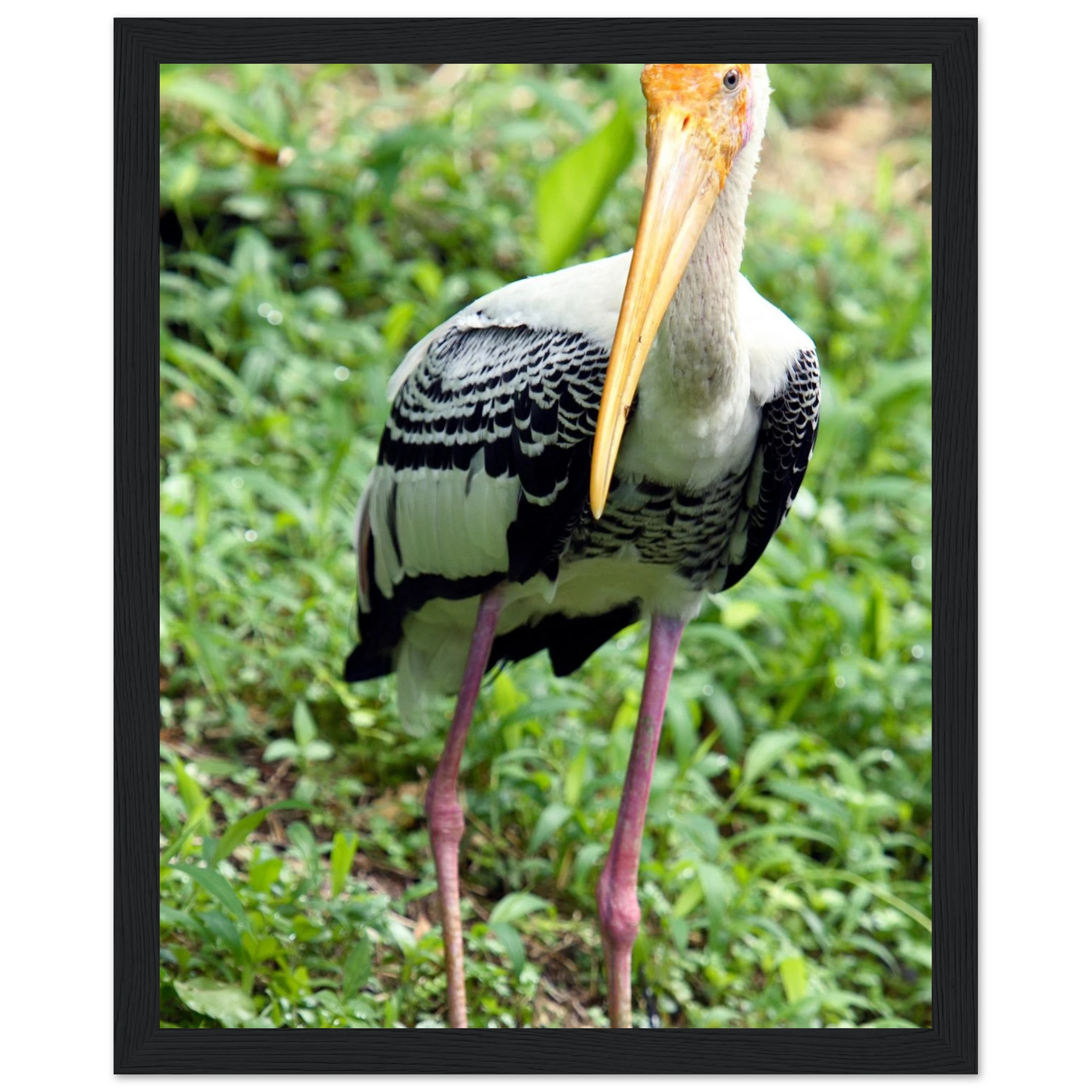 ec619099-140b-4020-b2ed-0b480ce89f52