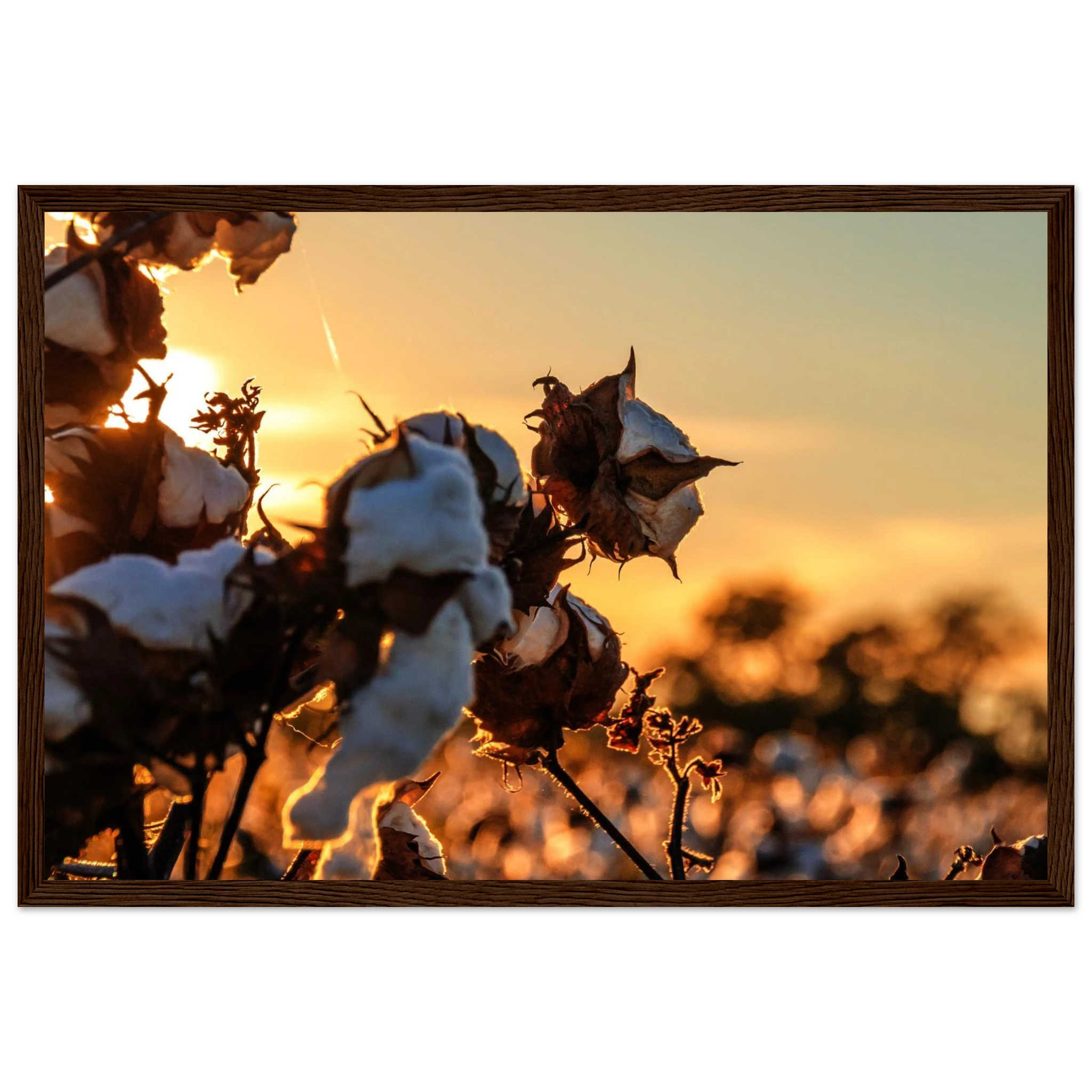 ec79e242-d041-4244-97c5-6c1999fa1de9