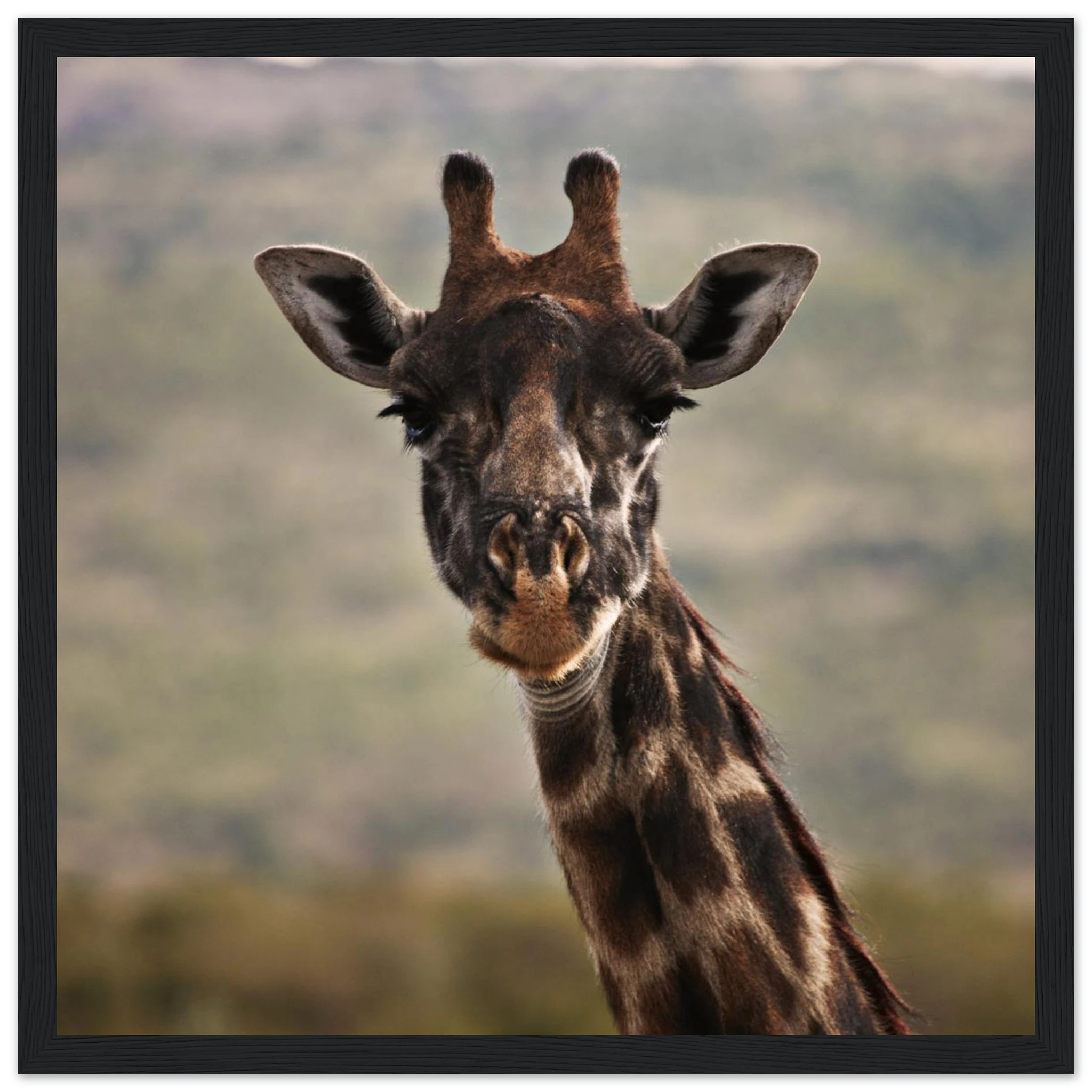 ec83c7e0-381e-49e2-92db-af31e9f41eb3