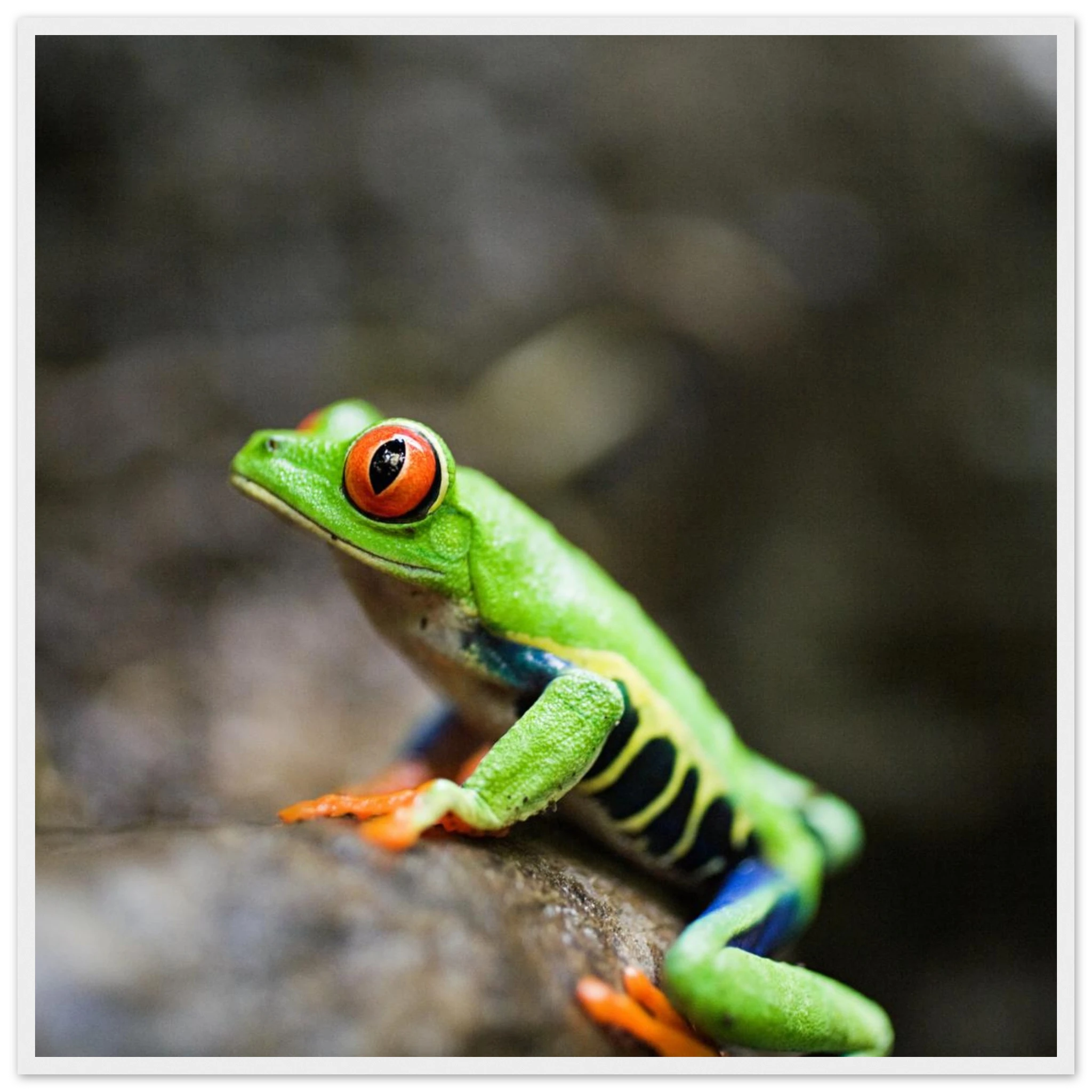 ec9e4513-a749-4894-896e-3e7df913b679