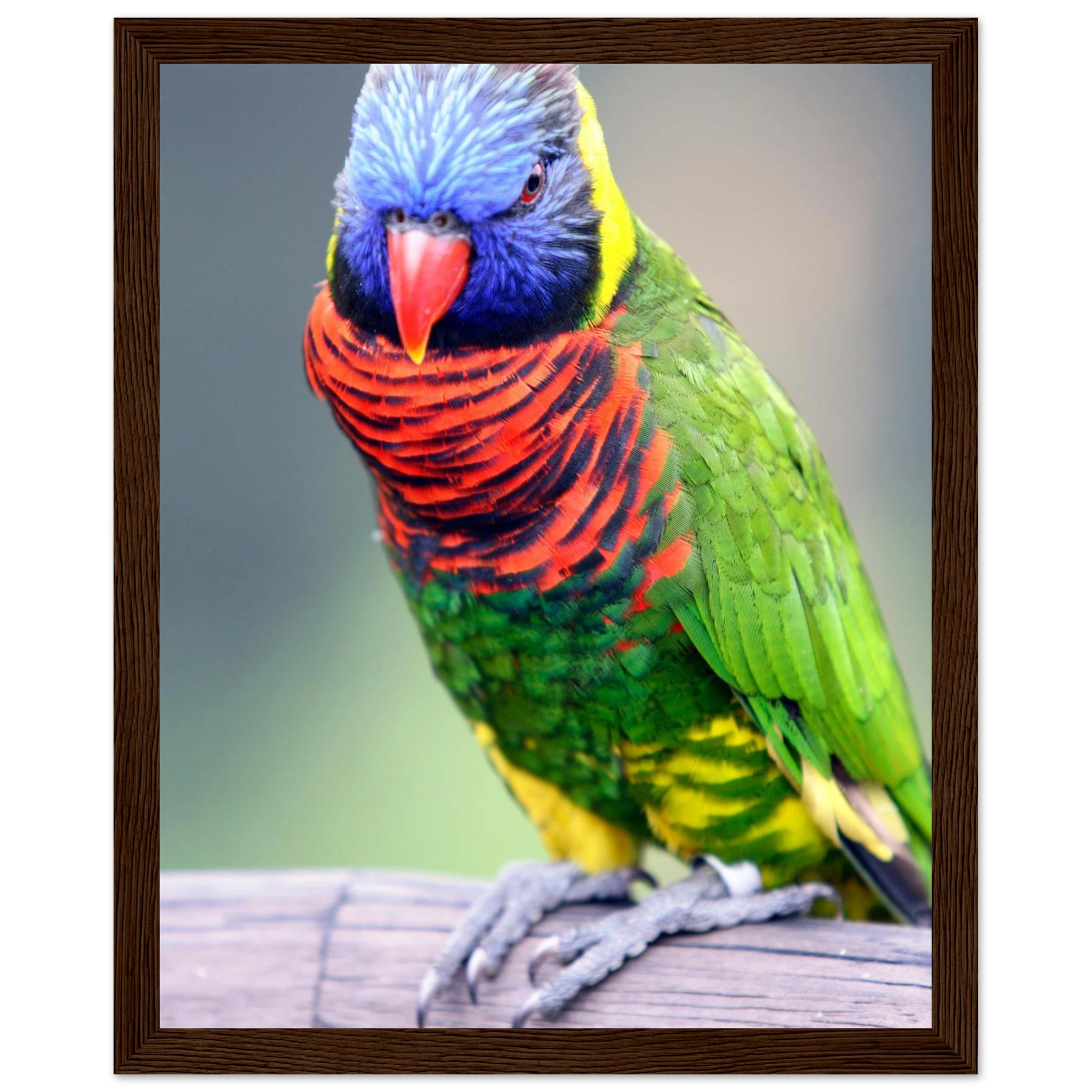 ecd06784-3bb3-4de0-abd6-d3b0cfb5b6f5