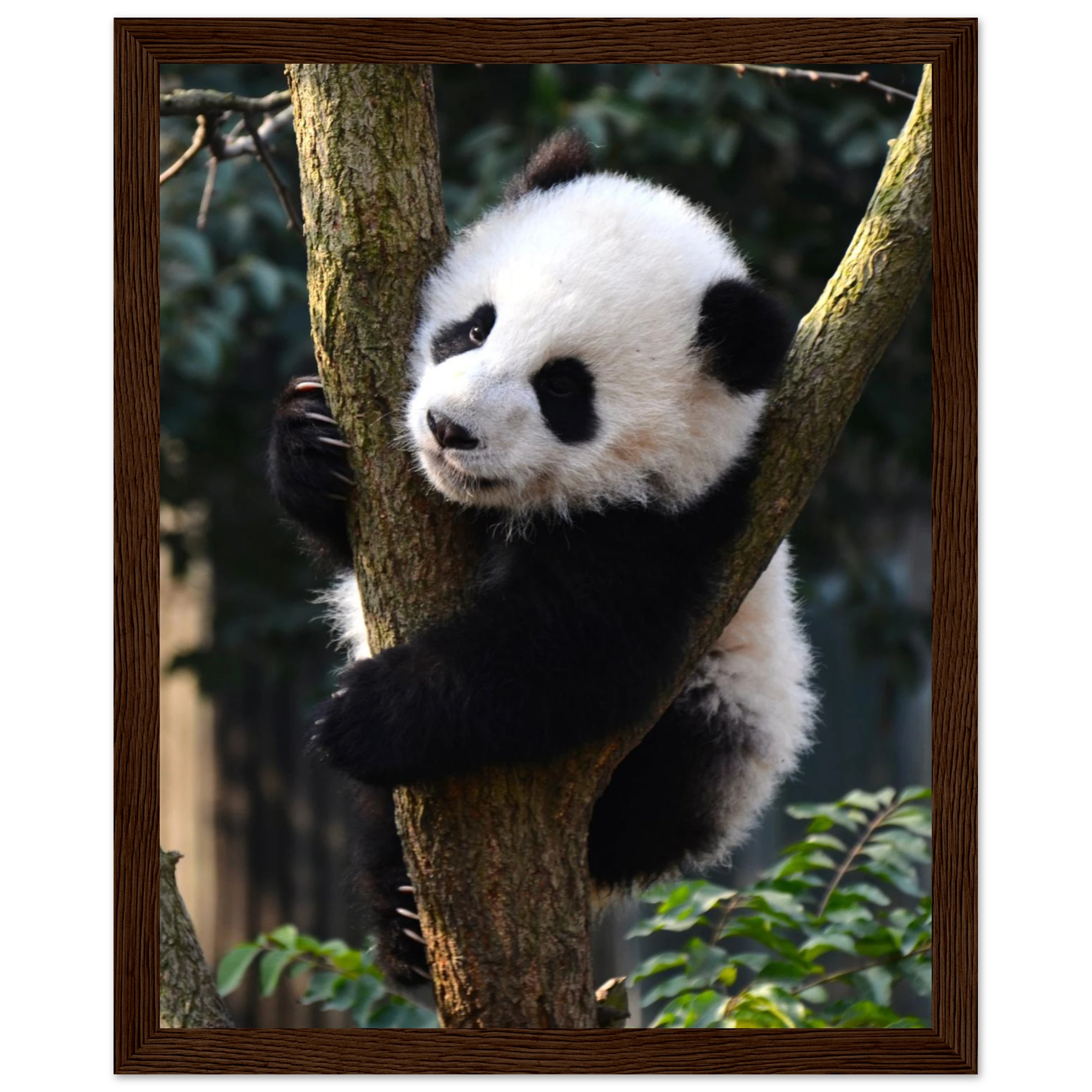 ecd29f93-bd2e-47cb-a165-587366025564