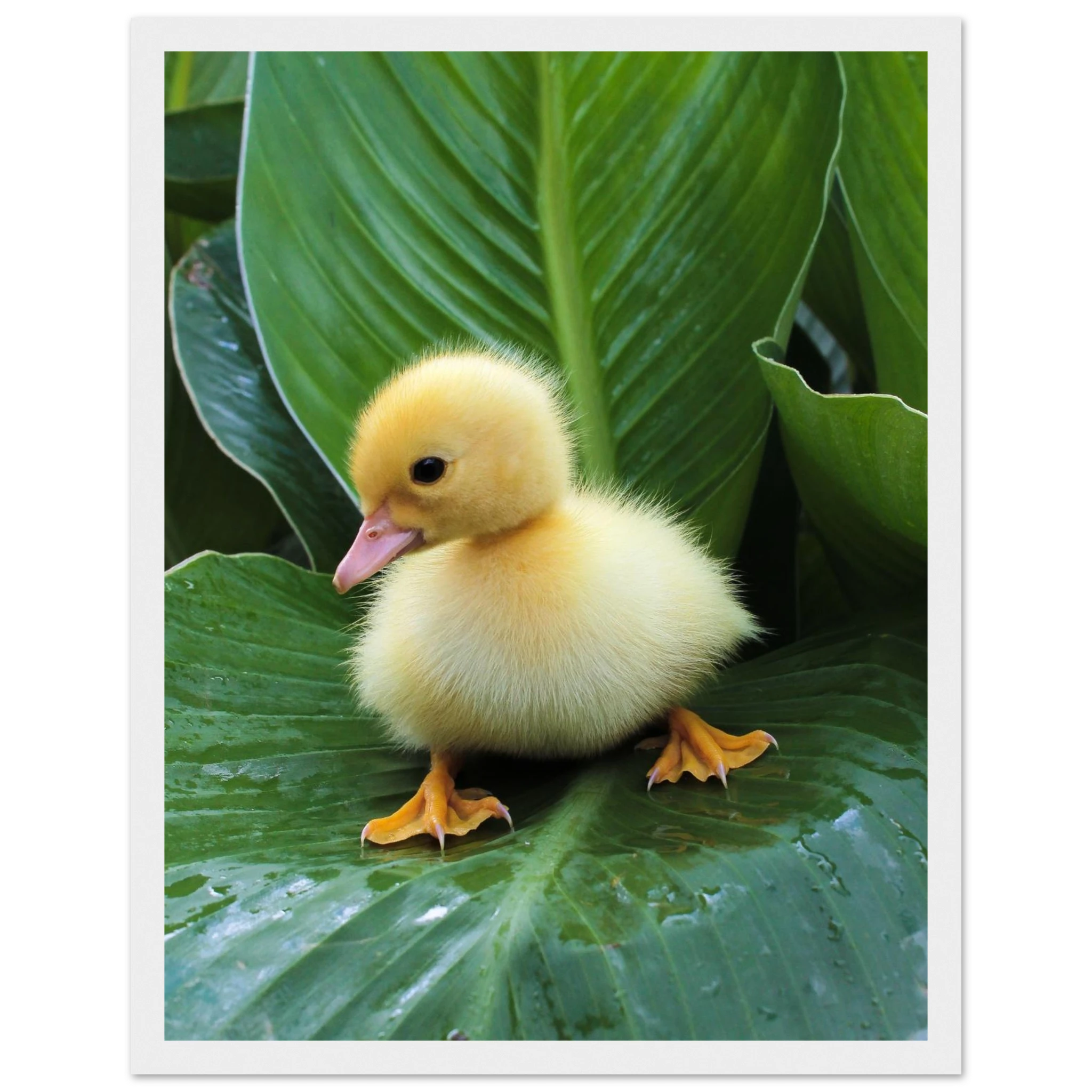 ecea1055-1ab0-435c-877a-553574f49d0b