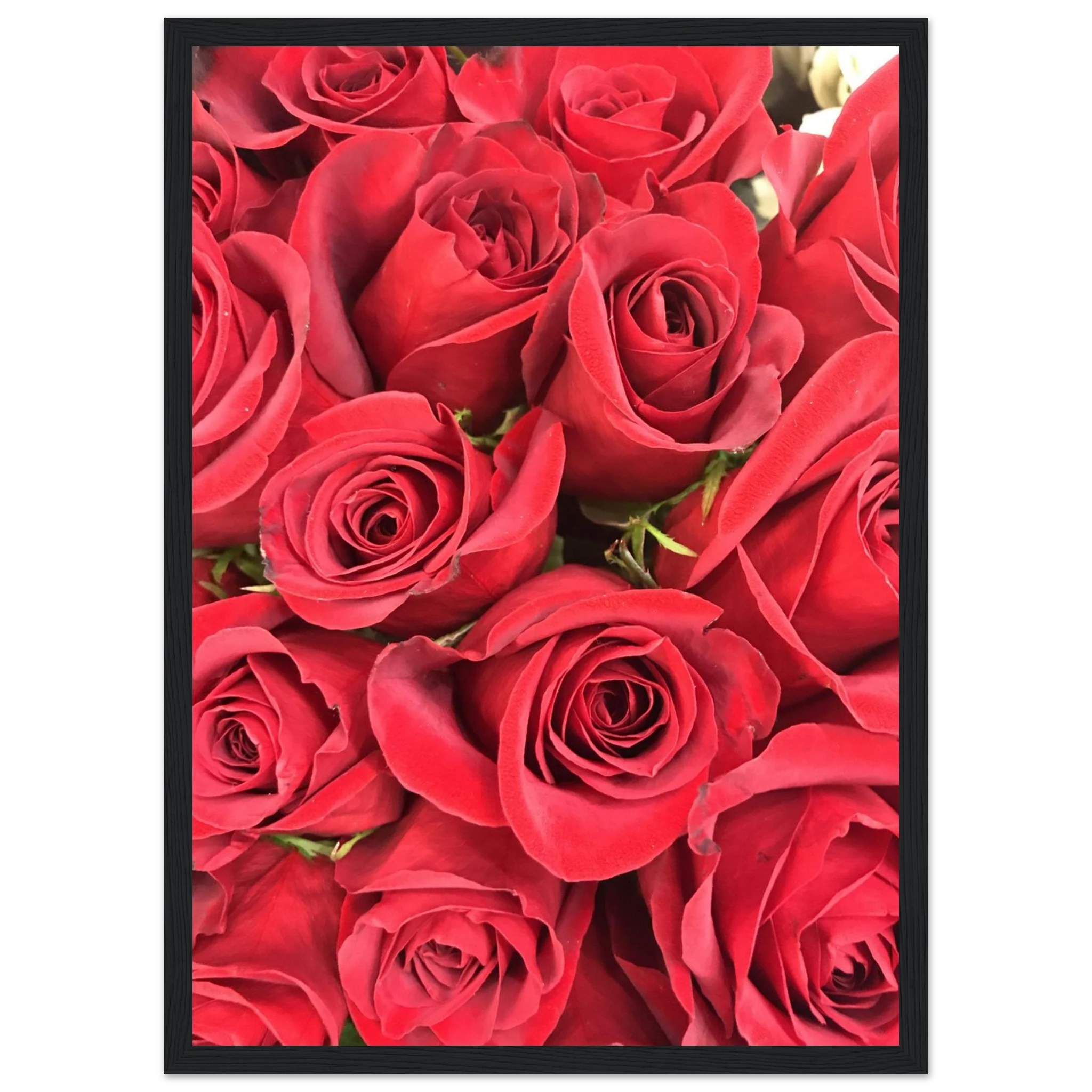 ecef718e-d5c2-46b3-9bc6-86fd6df0bacd