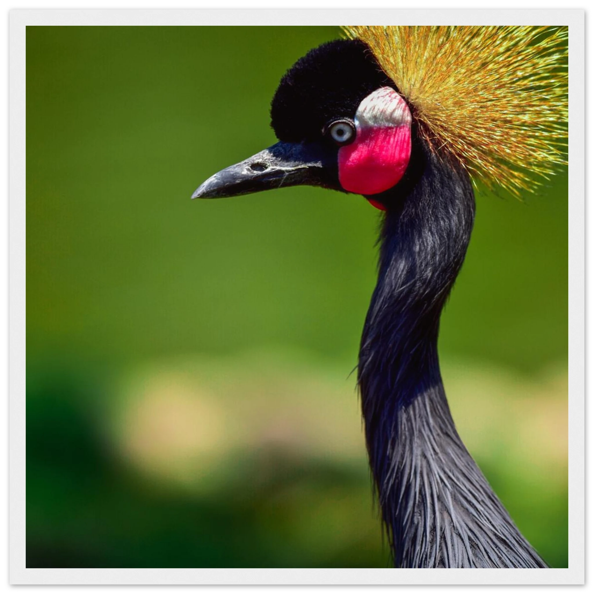 ecfb7fd7-e749-479f-ba3c-5d849b4366f5