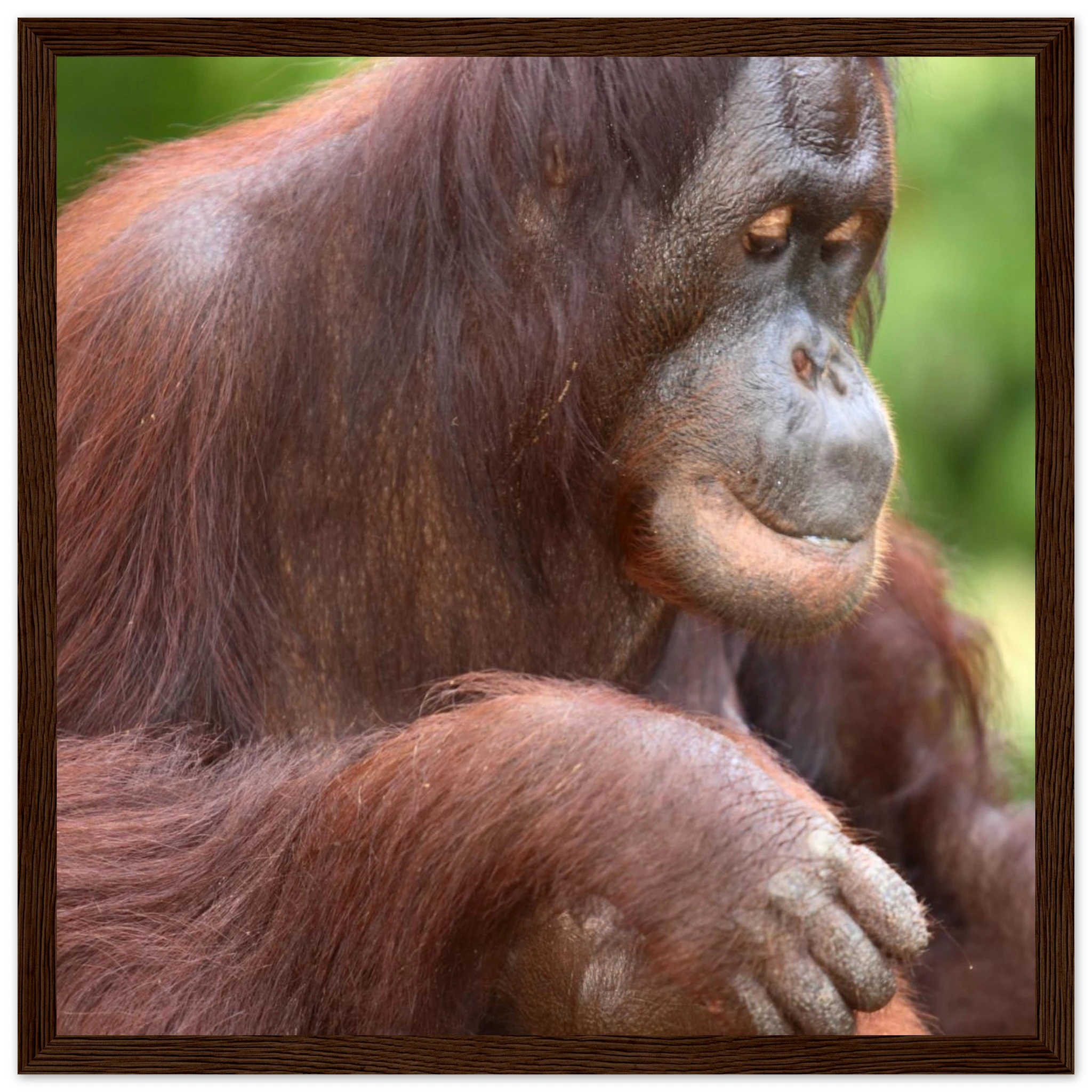 ed1bae44-7085-4ead-97a5-9ce0e3bcc4ac