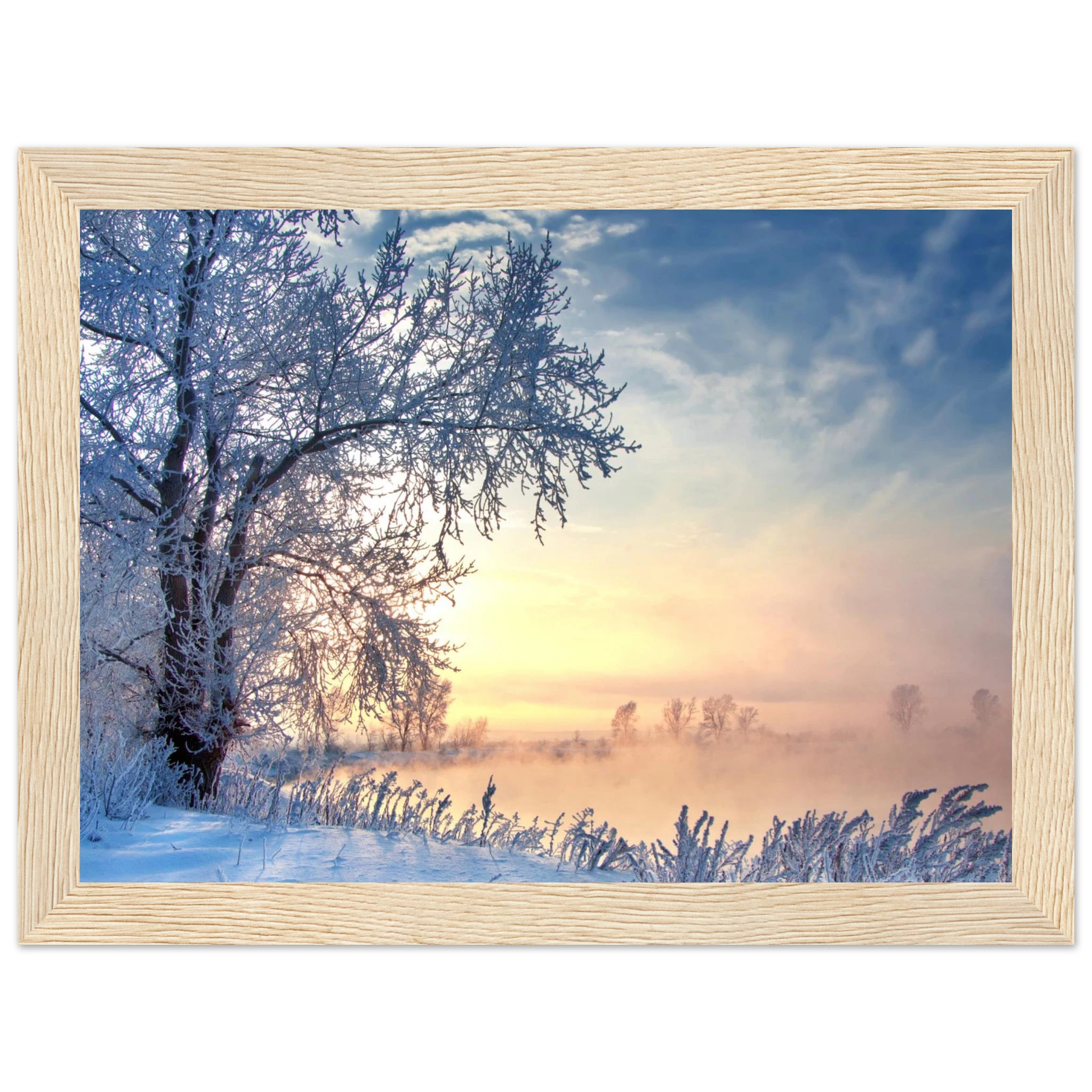 ed29e037-449e-4b6c-bea7-1ddc453b0b6f