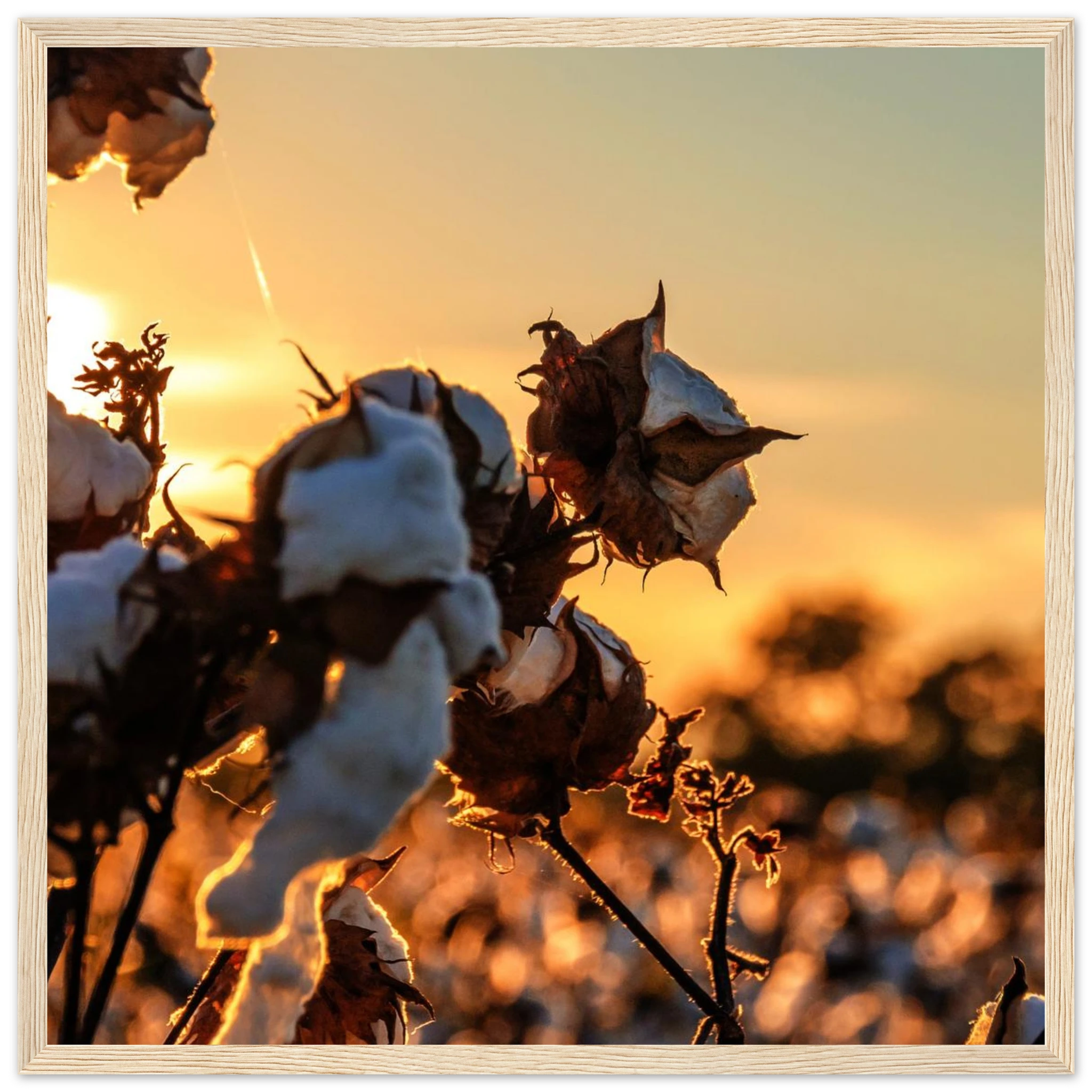 ed6d1cb7-02e6-41ca-8c7a-ef66fa486c70