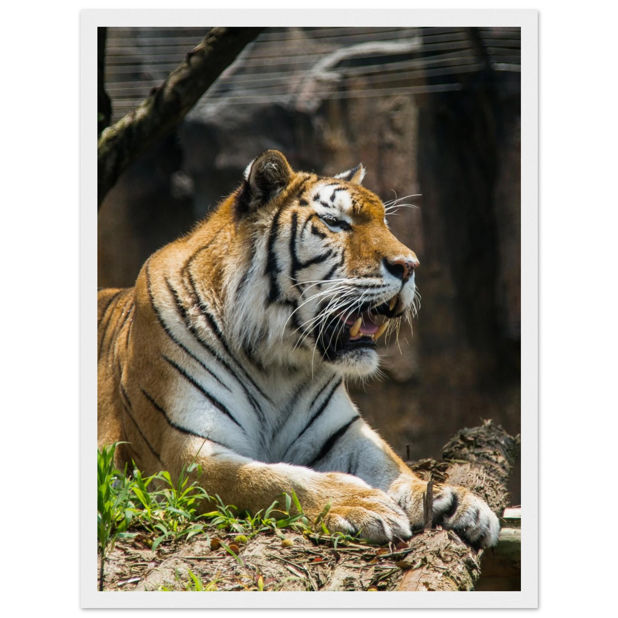 ed72888c-edf4-42b9-b5a3-69ebacae3edb