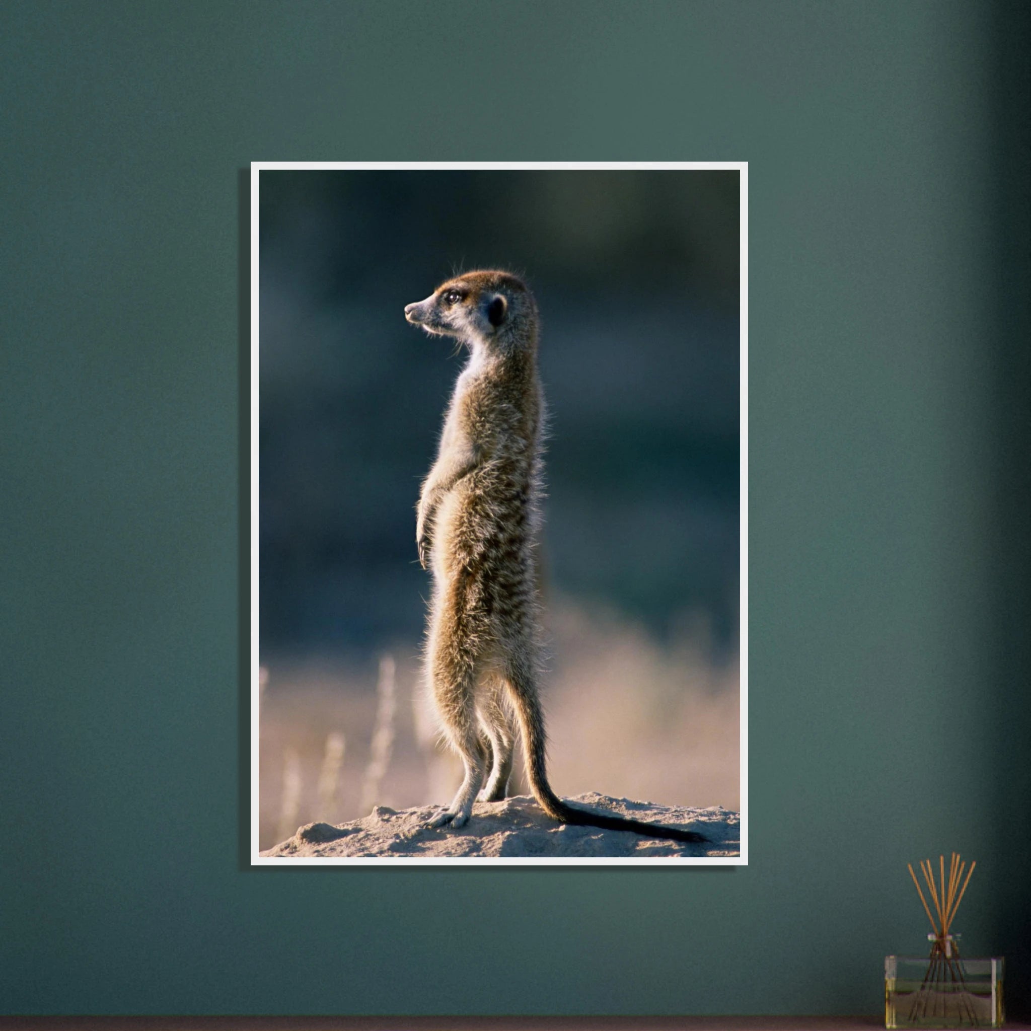 ed8cca16-62d7-4802-8d71-d378f6ffcc55