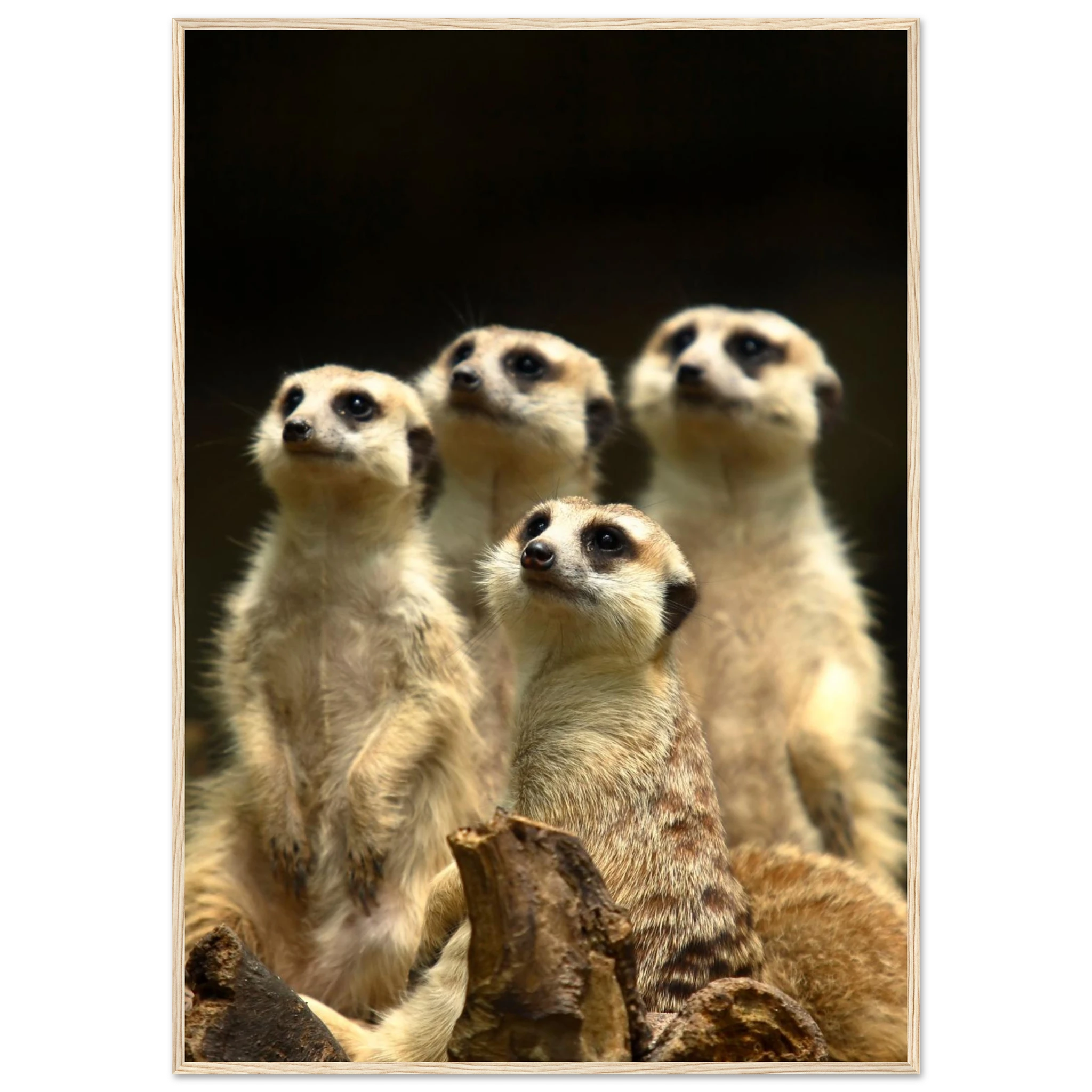 ed95c603-167b-46e9-9731-950f3b31984b