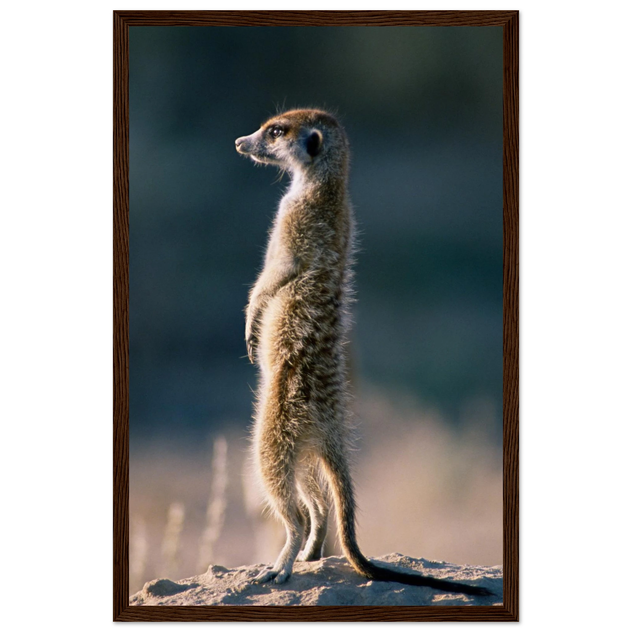 edf9cccd-7784-46c8-99cb-58c36a03d2a4