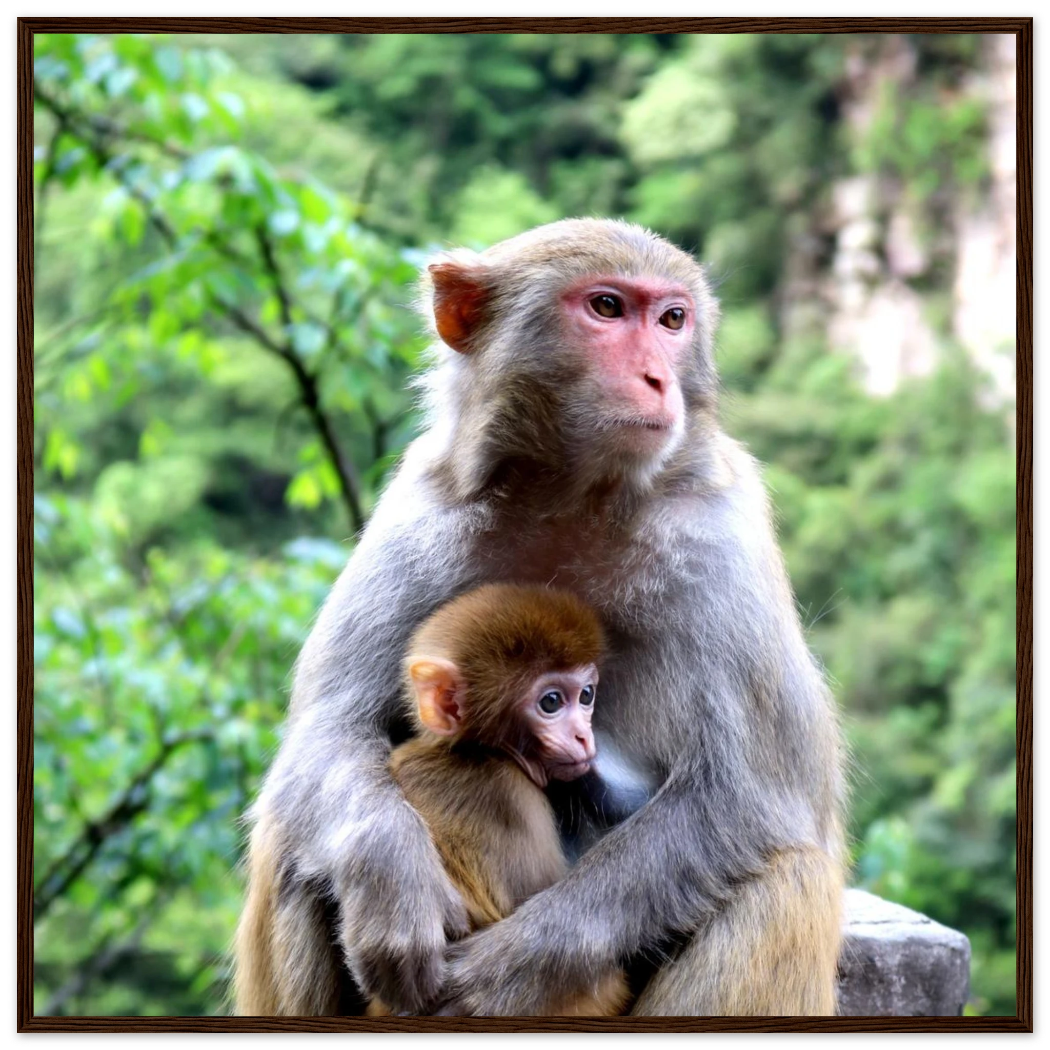 edfb372a-8c74-4979-9eff-fe3f32ce6991