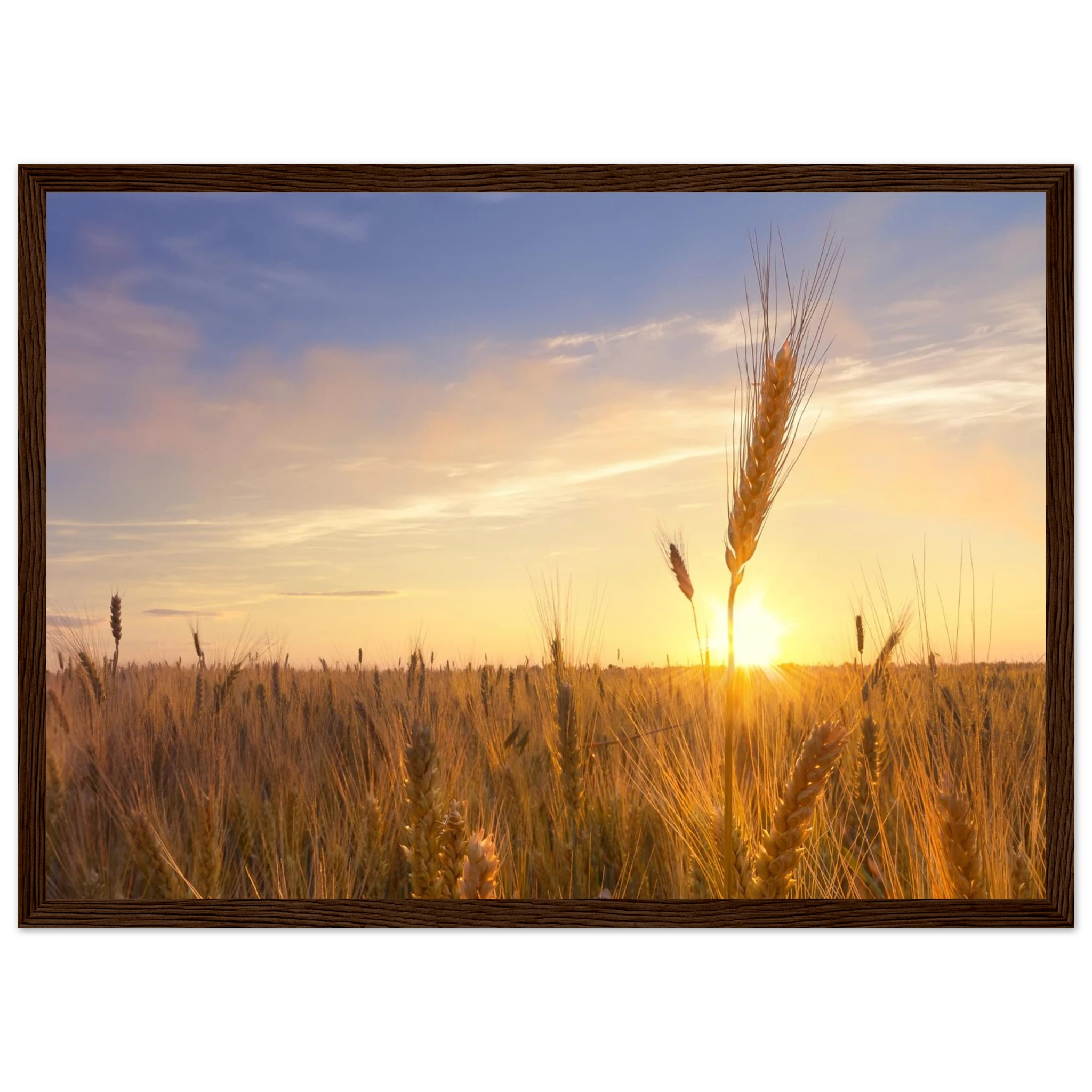 edfe50ce-0bb3-4390-b3ef-a5718120e754