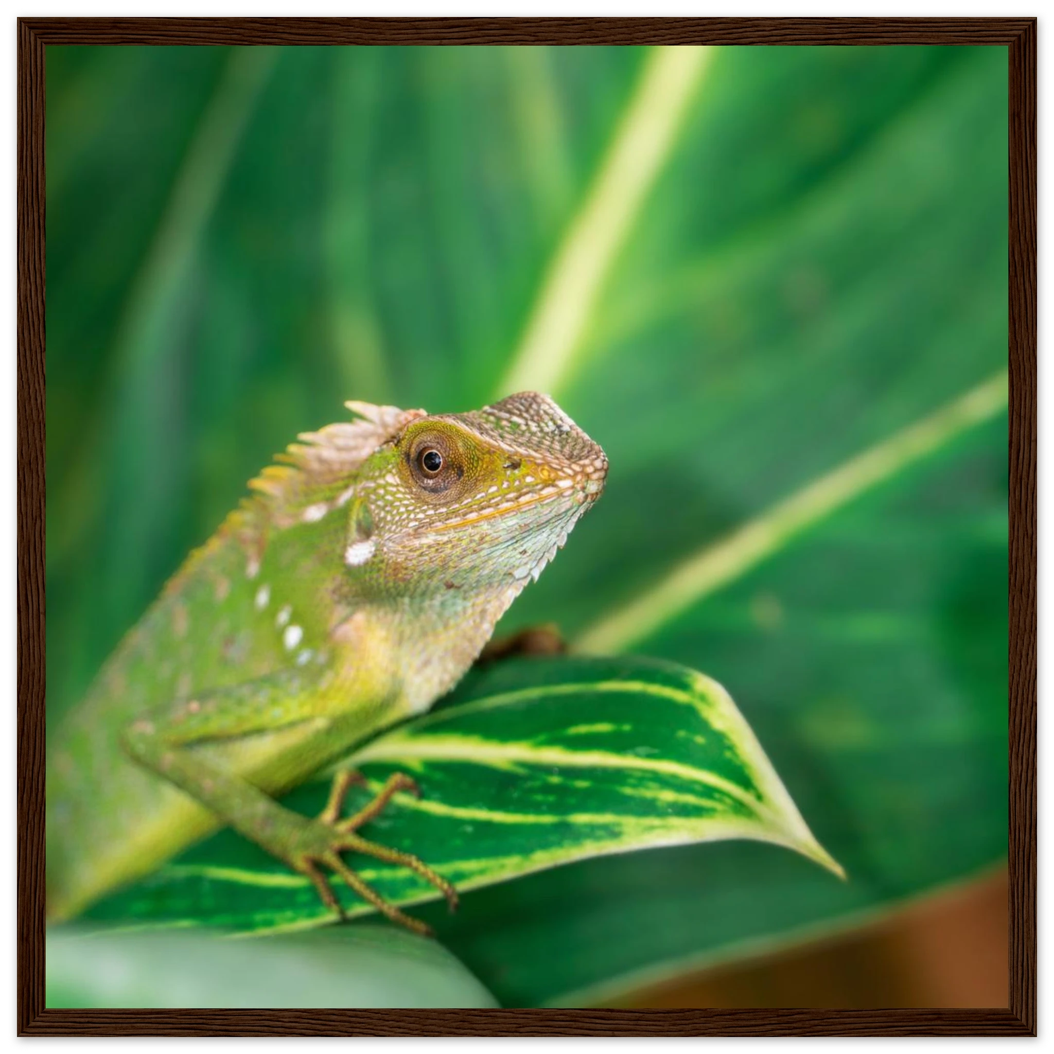 ee0cbff2-9bfa-49de-99d1-947439243709