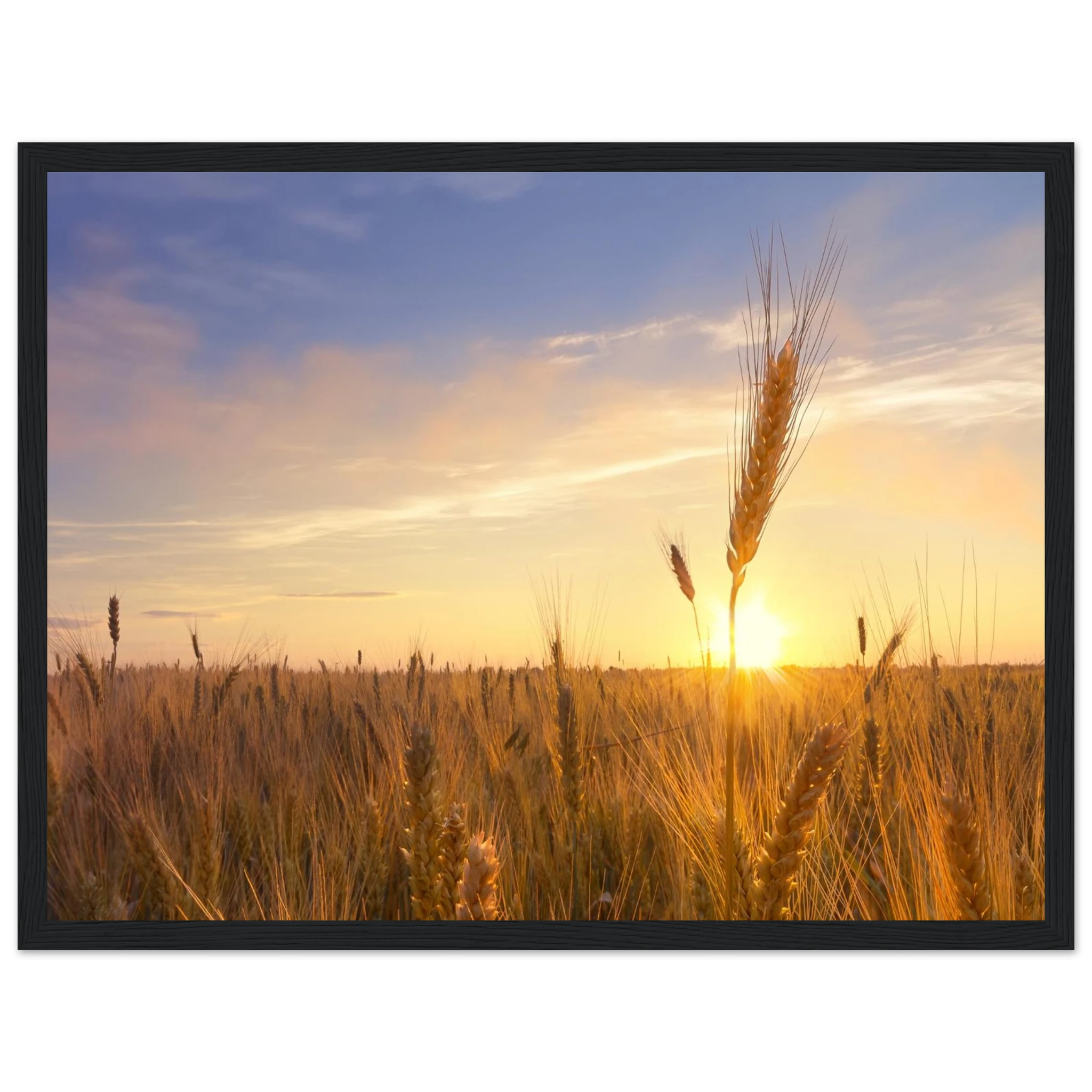 ee1bd63a-a46d-421d-b46e-0651781ebf4f