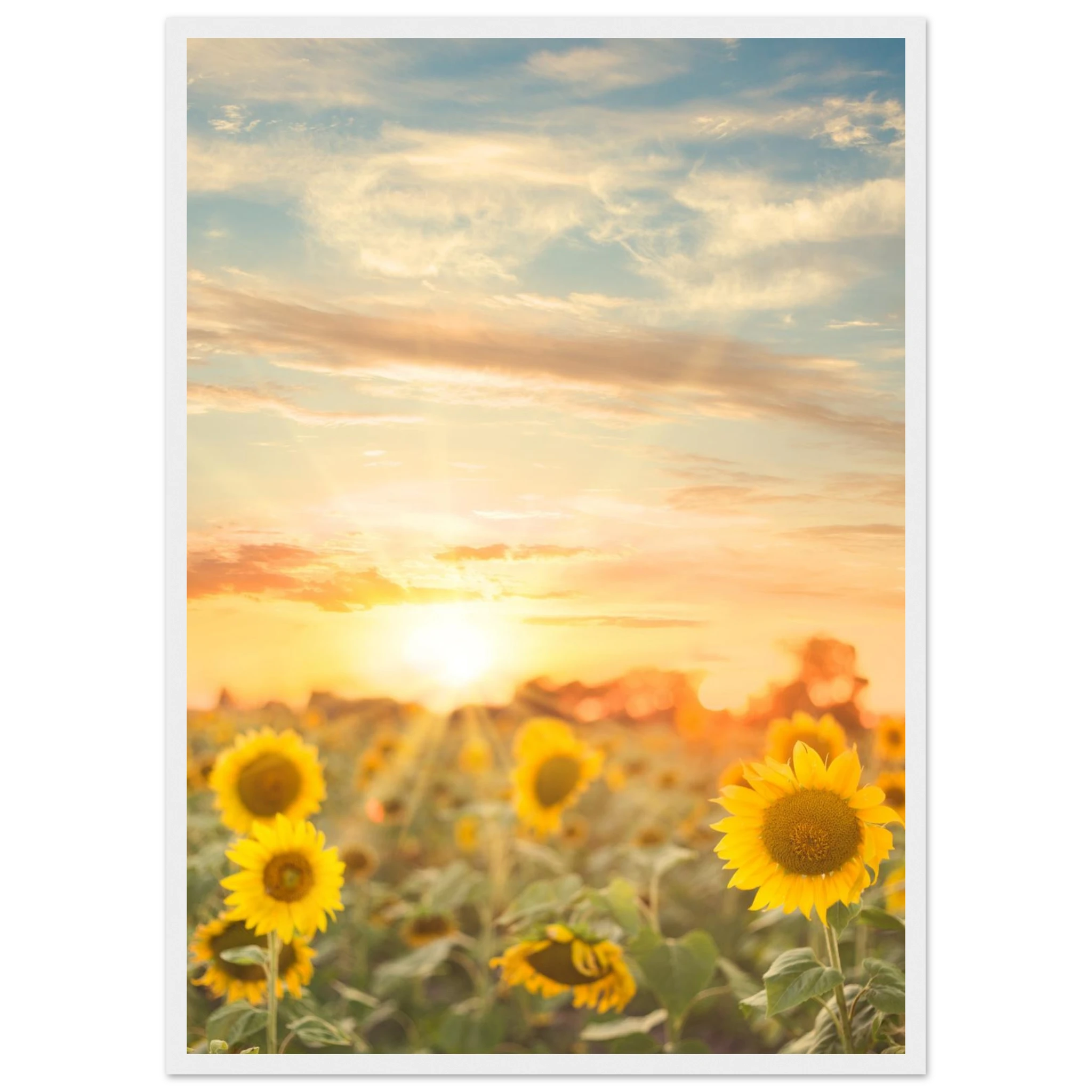 ee219611-1d7a-4680-bf77-f5b90445140a