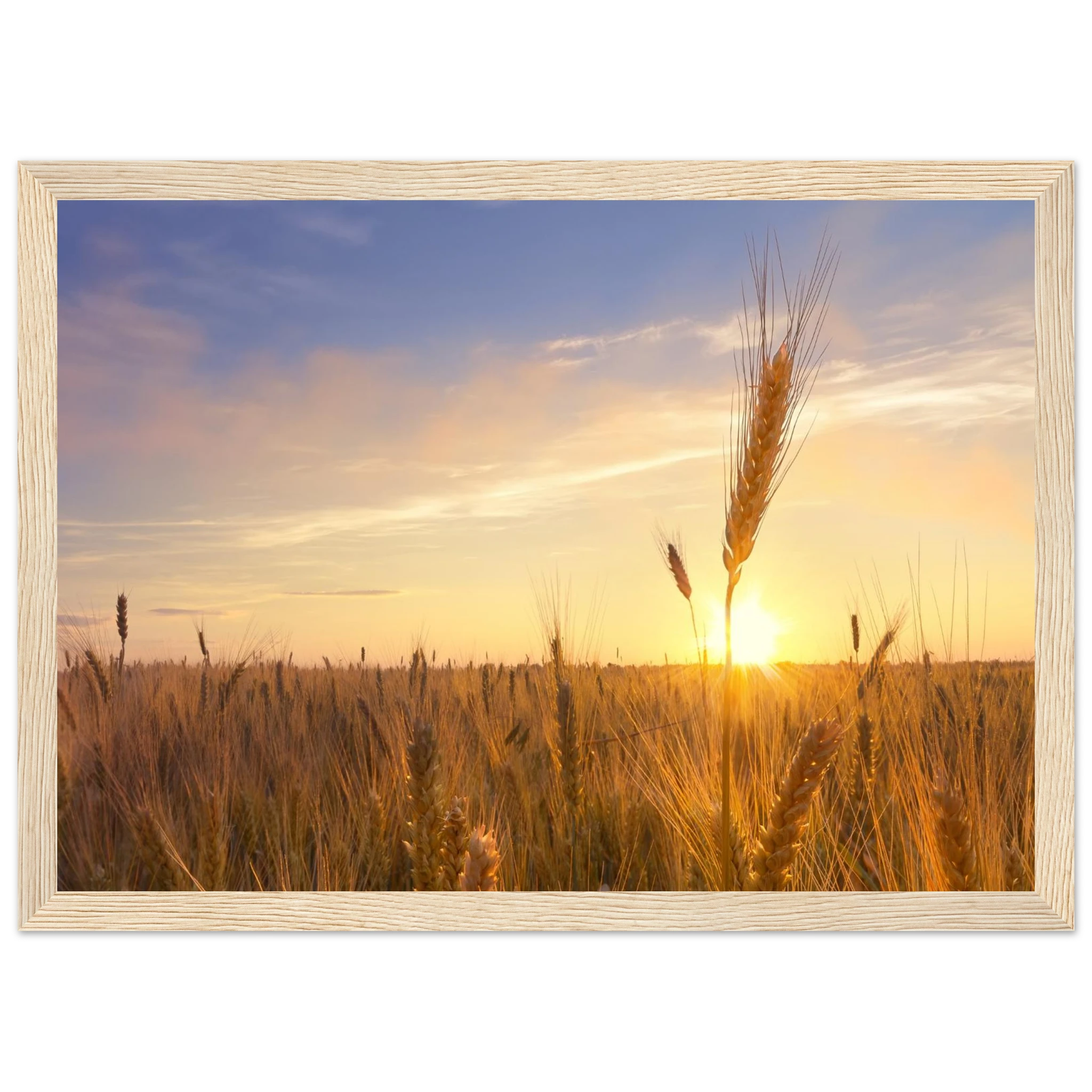 ee3020ee-22f0-48fb-9aa6-3da203dd33f7