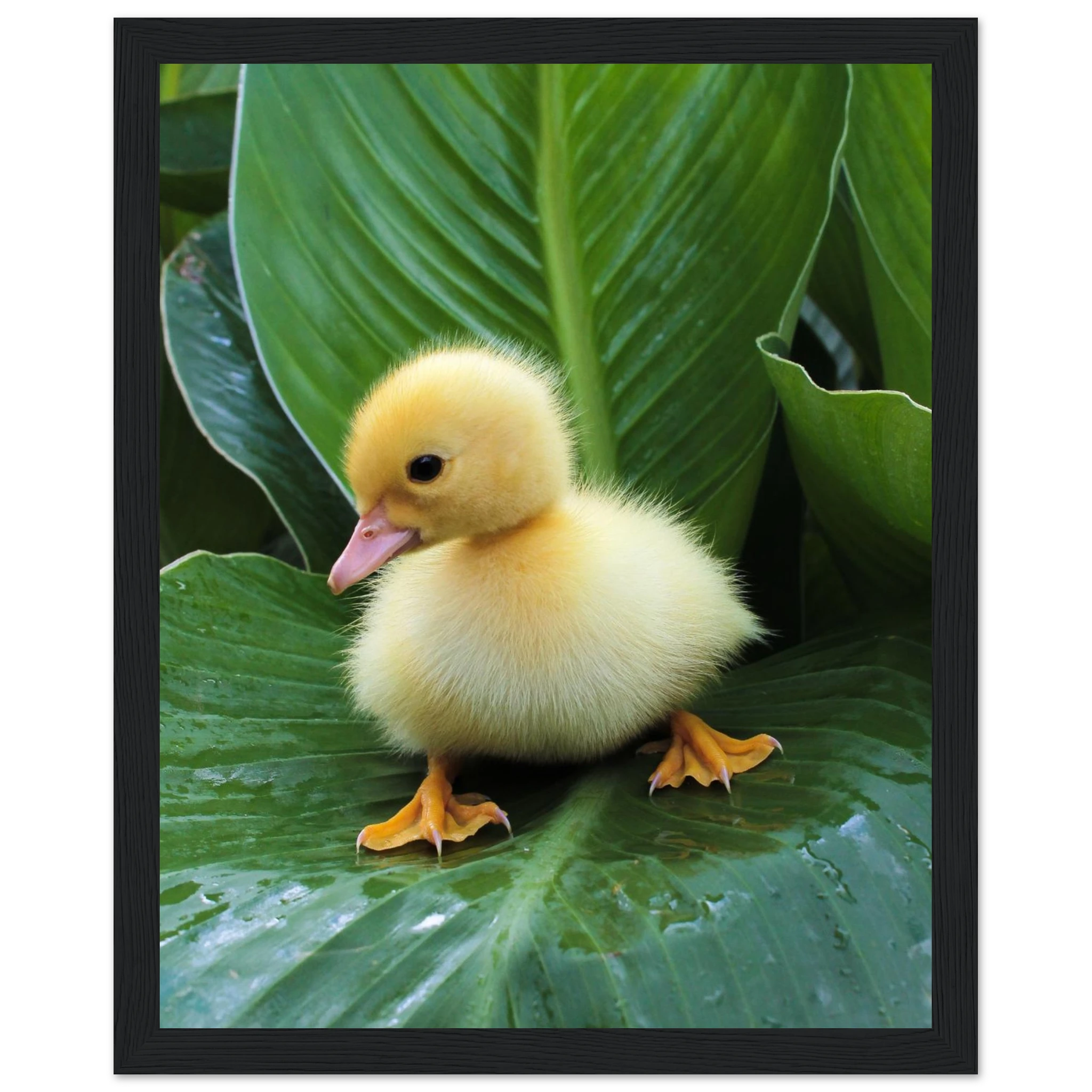 ee3f9087-fb35-4b96-99c5-b10bcf8d1995