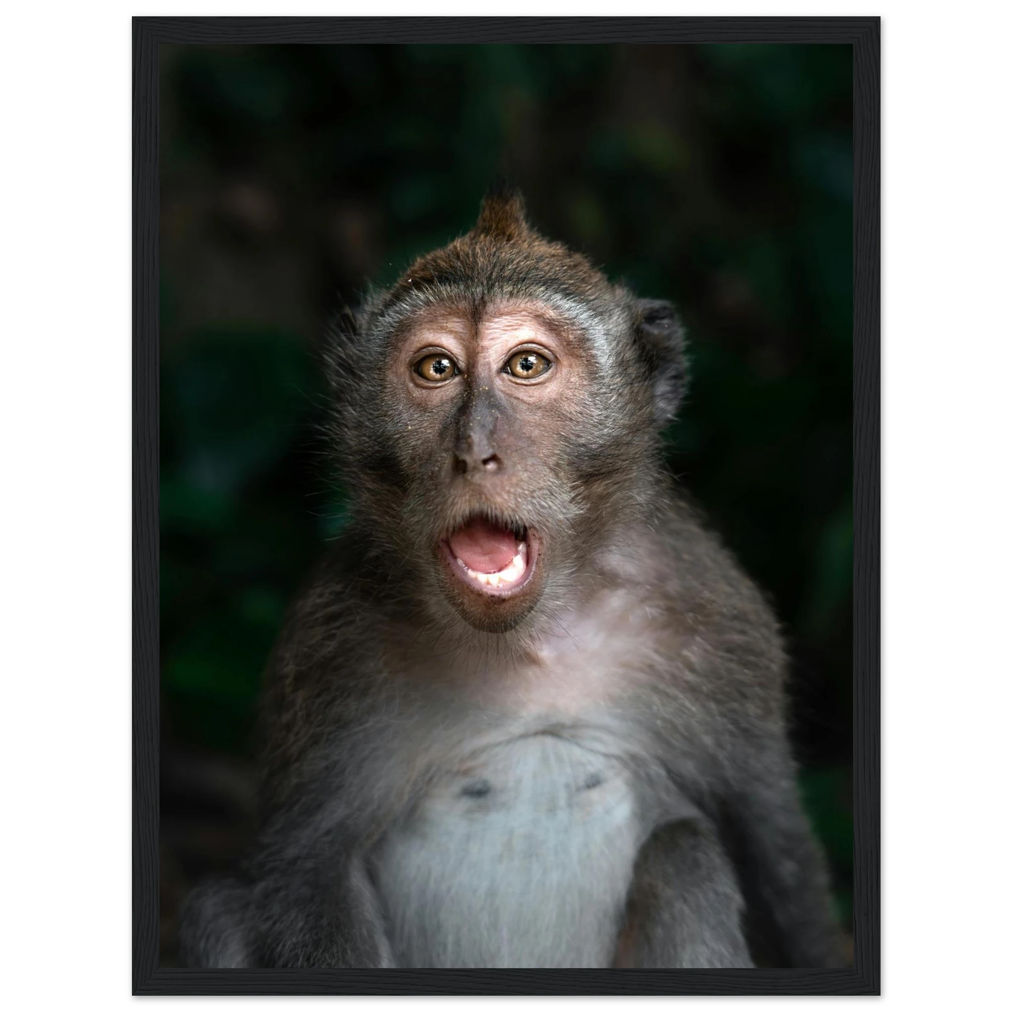 ee50879e-0ce5-4bbc-8b62-f840f6b0fabd