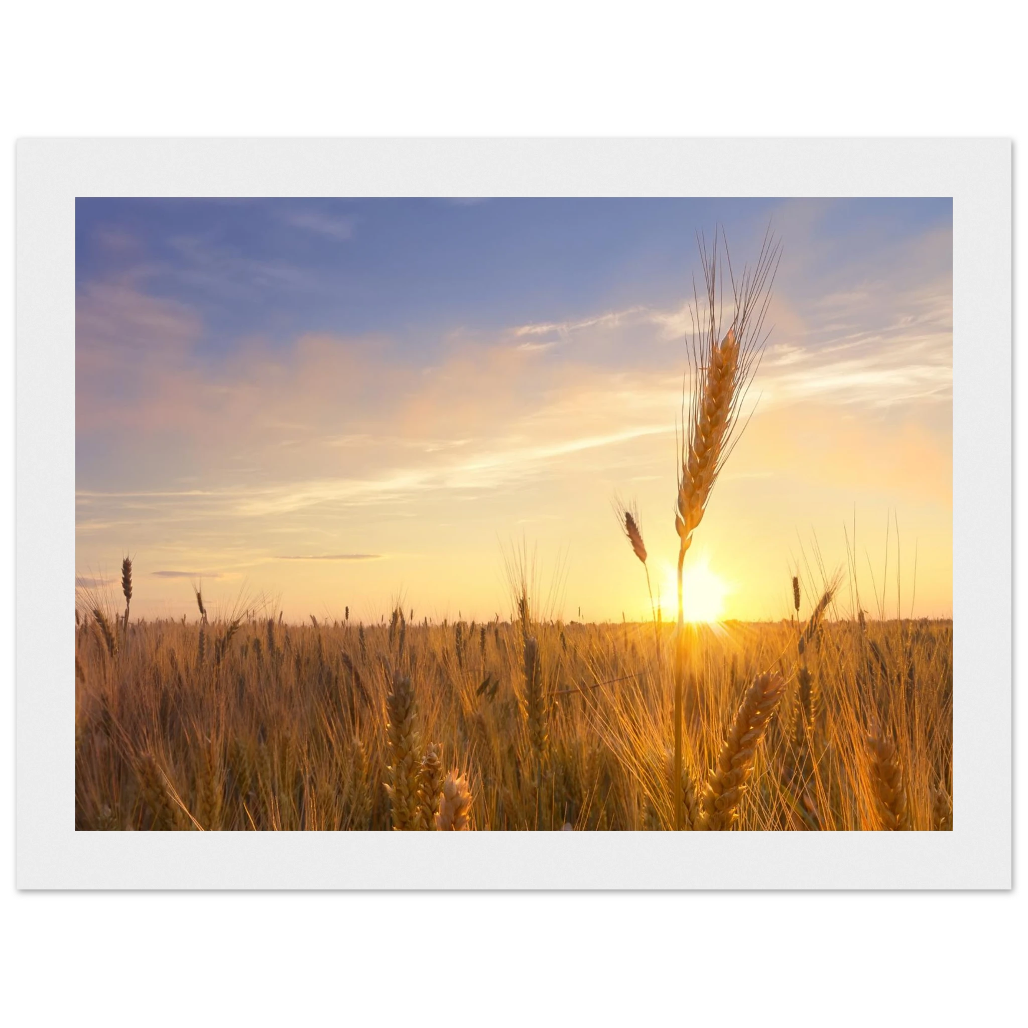 ee55b67b-bfba-463c-ad33-7ffd8363839e